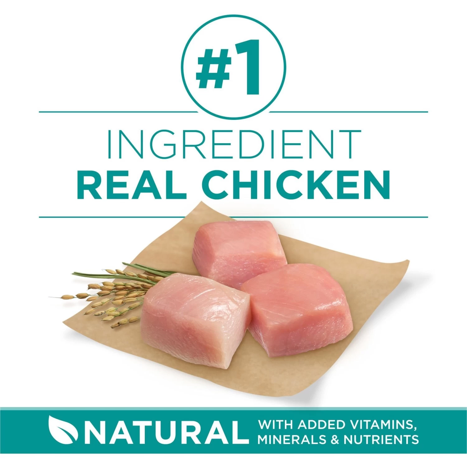 Purina ONE +Plus Adult Digestive Health Formula Dry Dog Food - Image 4