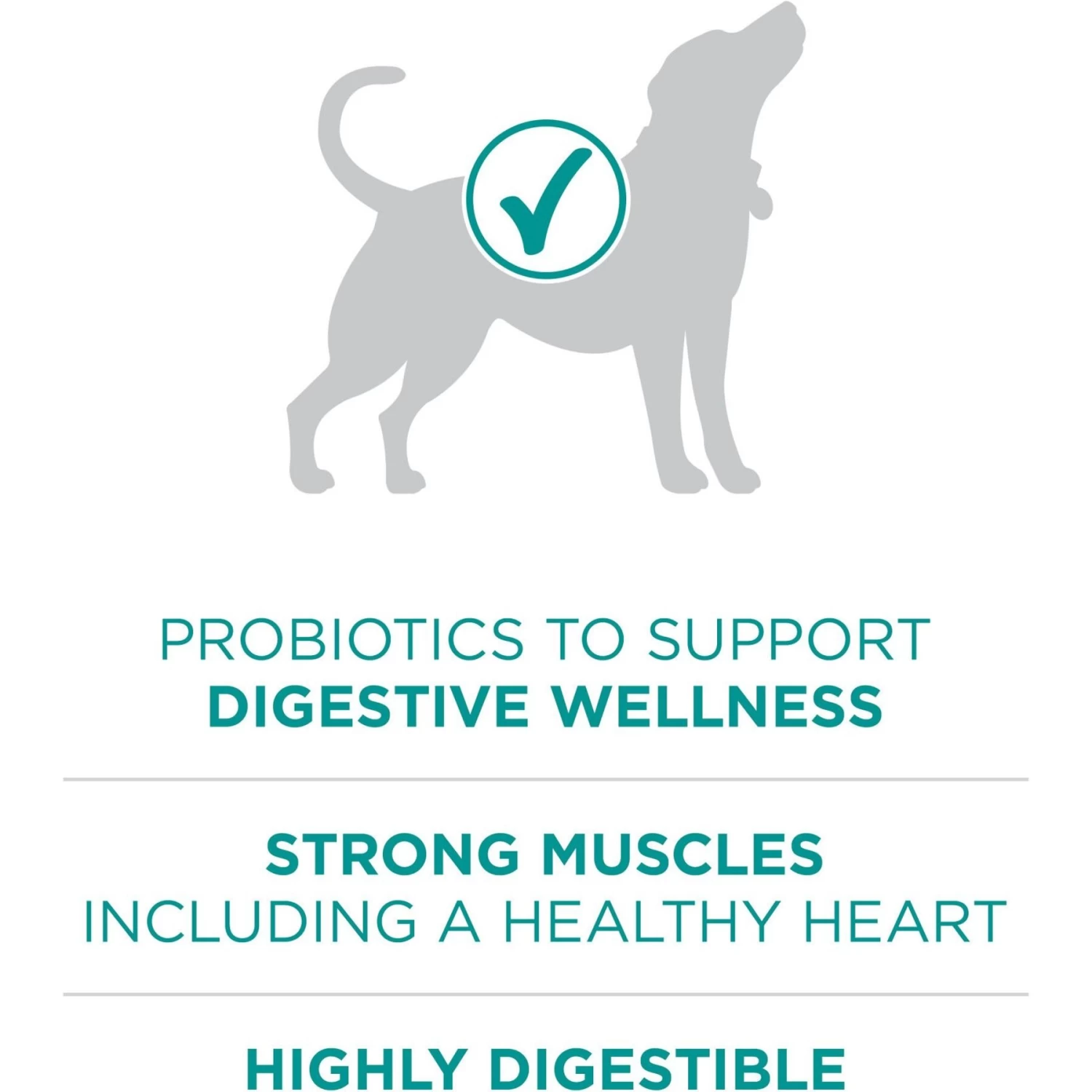 Purina ONE +Plus Adult Digestive Health Formula Dry Dog Food - Image 5