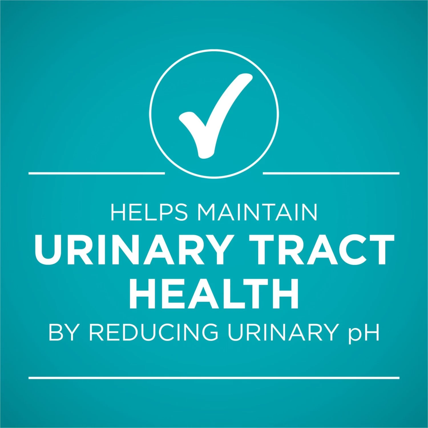 Purina ONE Urinary Tract Health Beef & Liver Recipe Wet Cat Food - Image 6