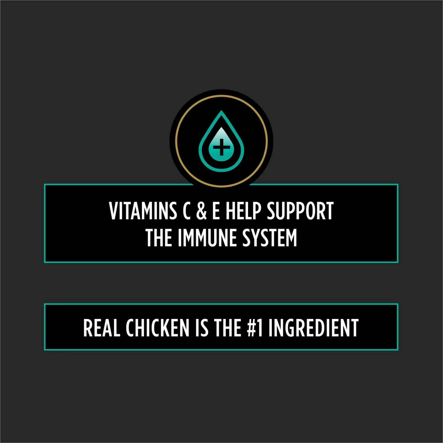 Purina Pro Plan Veterinary Diets Digestive Health Bites Soft & Chewy Dog Treats - Image 3