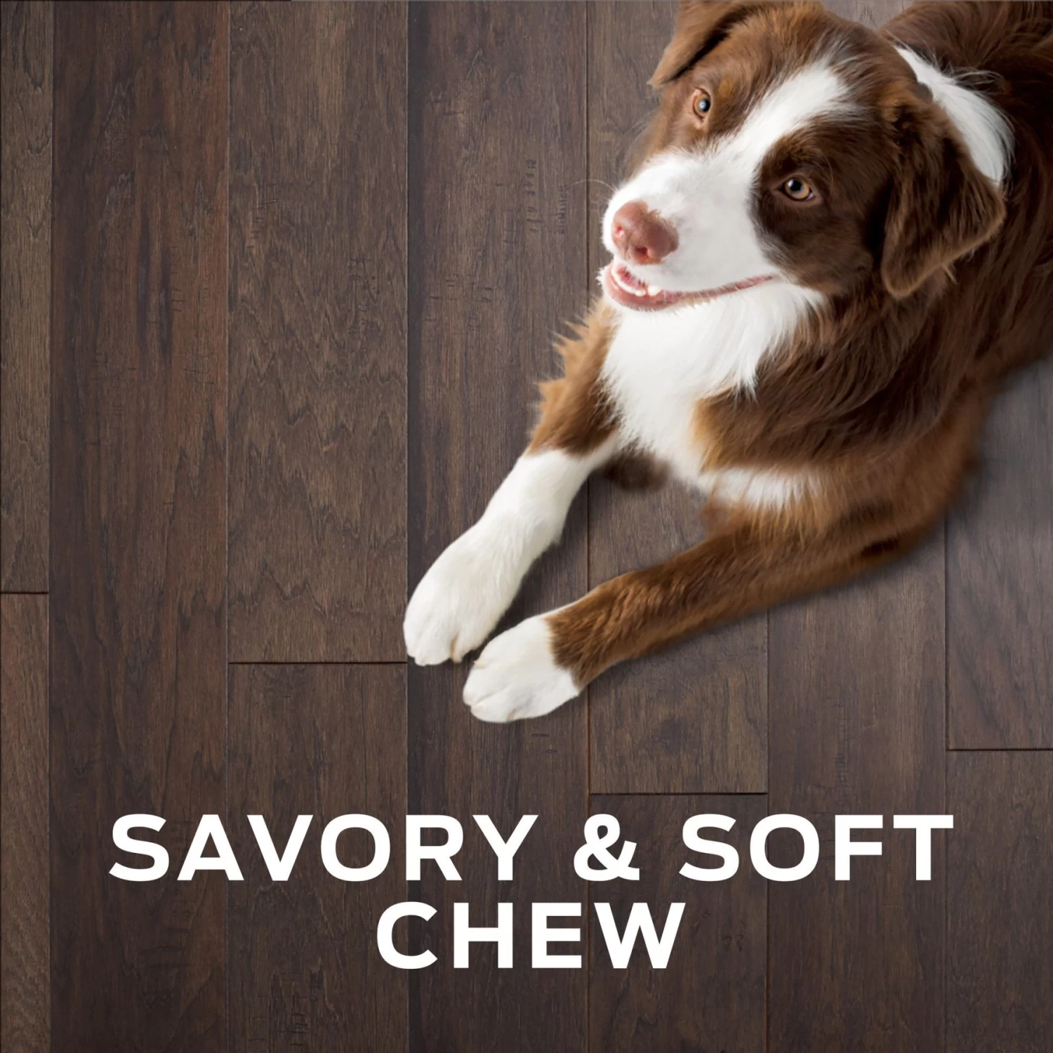 Purina Pro Plan Veterinary Diets Digestive Health Bites Soft & Chewy Dog Treats - Image 7