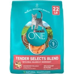 Purina ONE Tender Selects Blend With Real Salmon Dry Cat Food