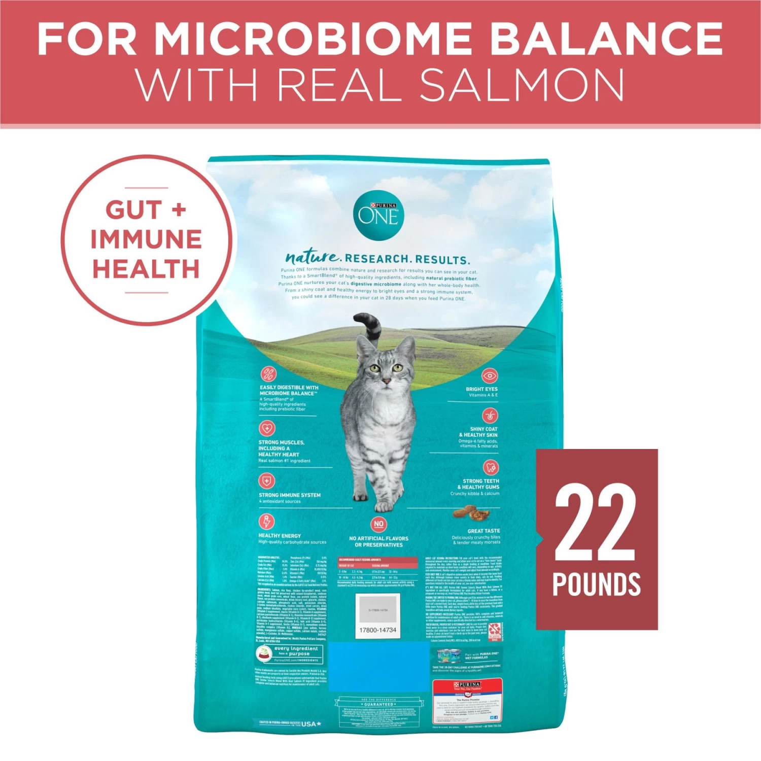 Purina ONE Tender Selects Blend With Real Salmon Dry Cat Food - Image 2