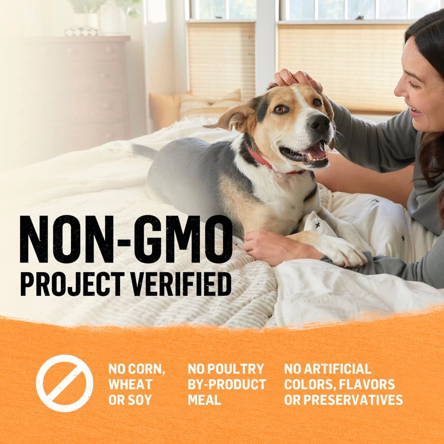 Purina Beyond Organic Chicken & Carrot Recipe Wet Dog Food, 13-oz Can, Case Of 12 - Image 7