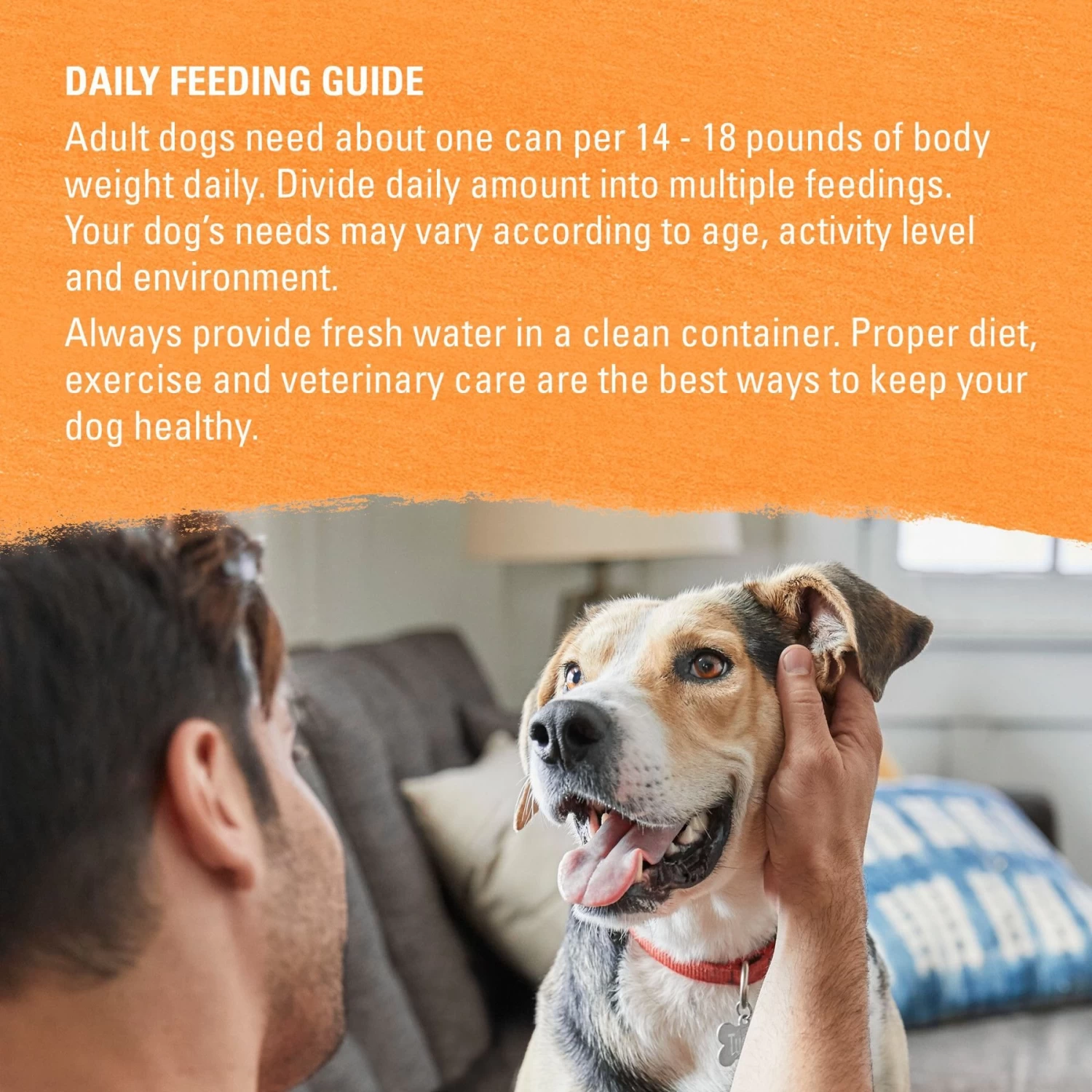 Purina Beyond Organic Chicken & Carrot Recipe Wet Dog Food, 13-oz Can, Case Of 12 - Image 9