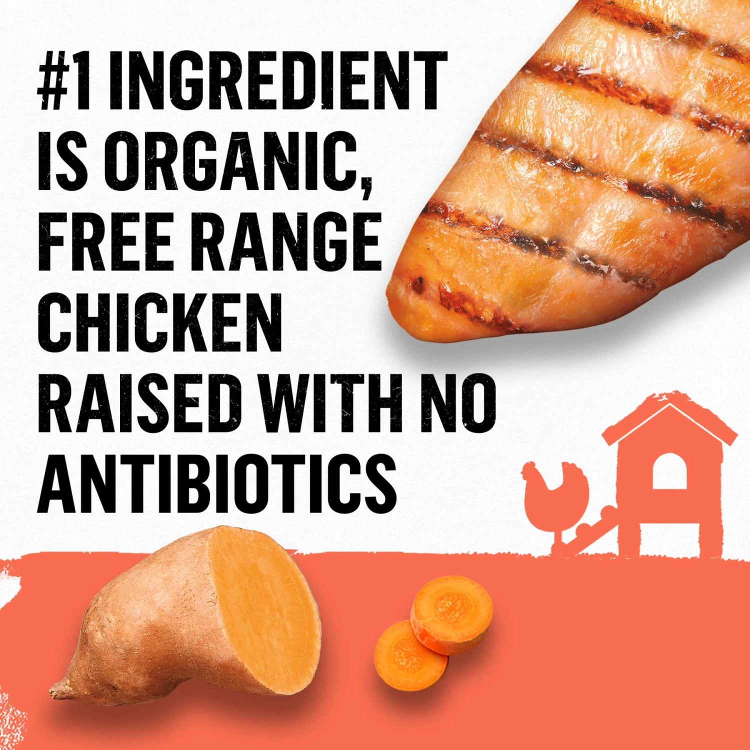 Purina Beyond Organic Chicken & Sweet Potato Recipe Wet Dog Food, 13-oz Can, Case Of 12 - Image 4