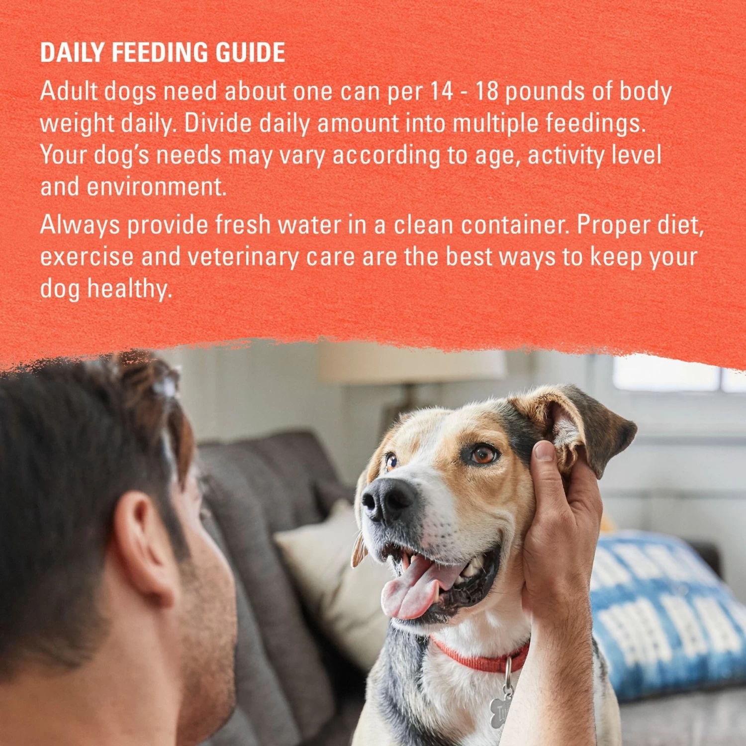 Purina Beyond Organic Chicken & Sweet Potato Recipe Wet Dog Food, 13-oz Can, Case Of 12 - Image 9