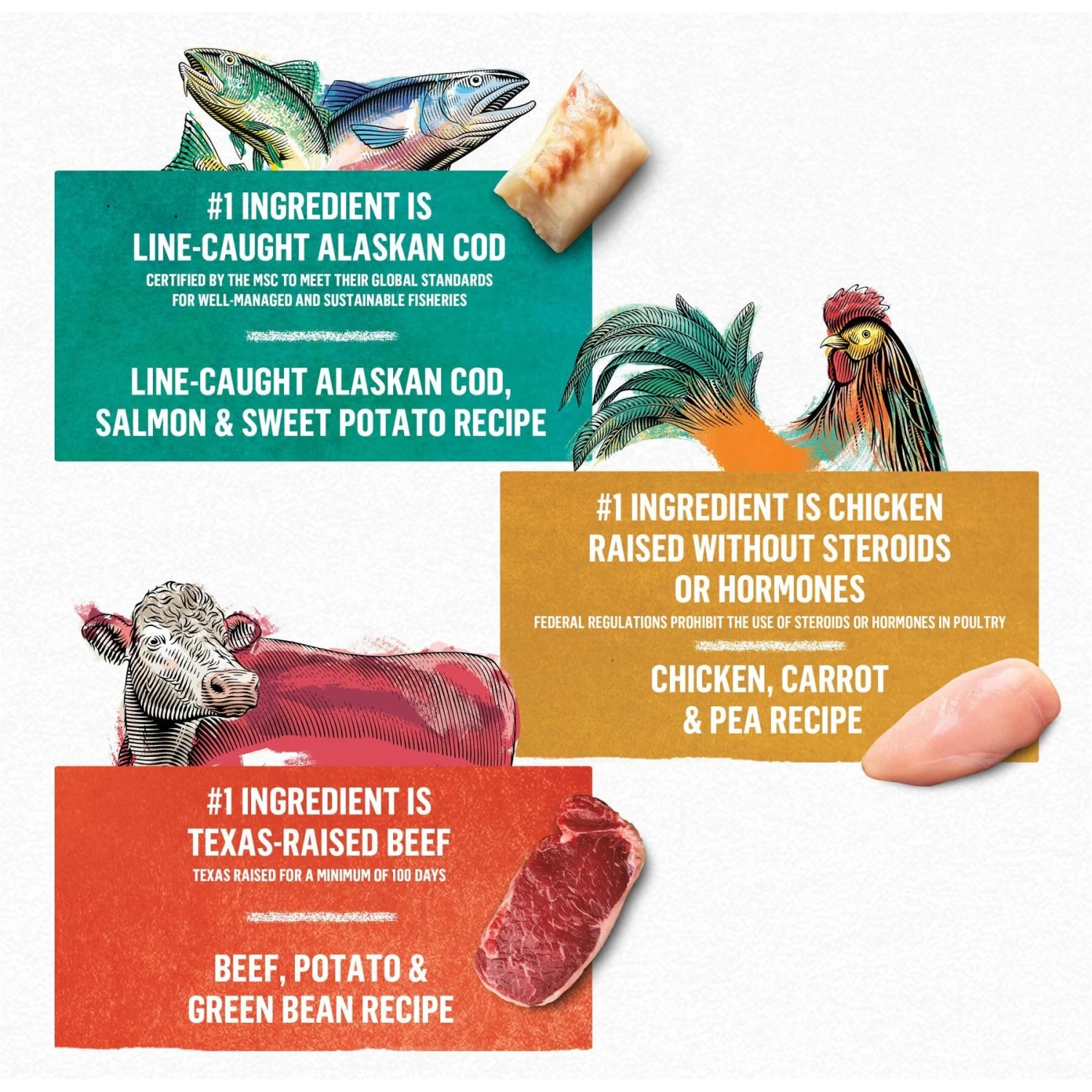 Purina Beyond Natural Pate Ground Entrees Wet Dog Food Variety Pack - Image 3