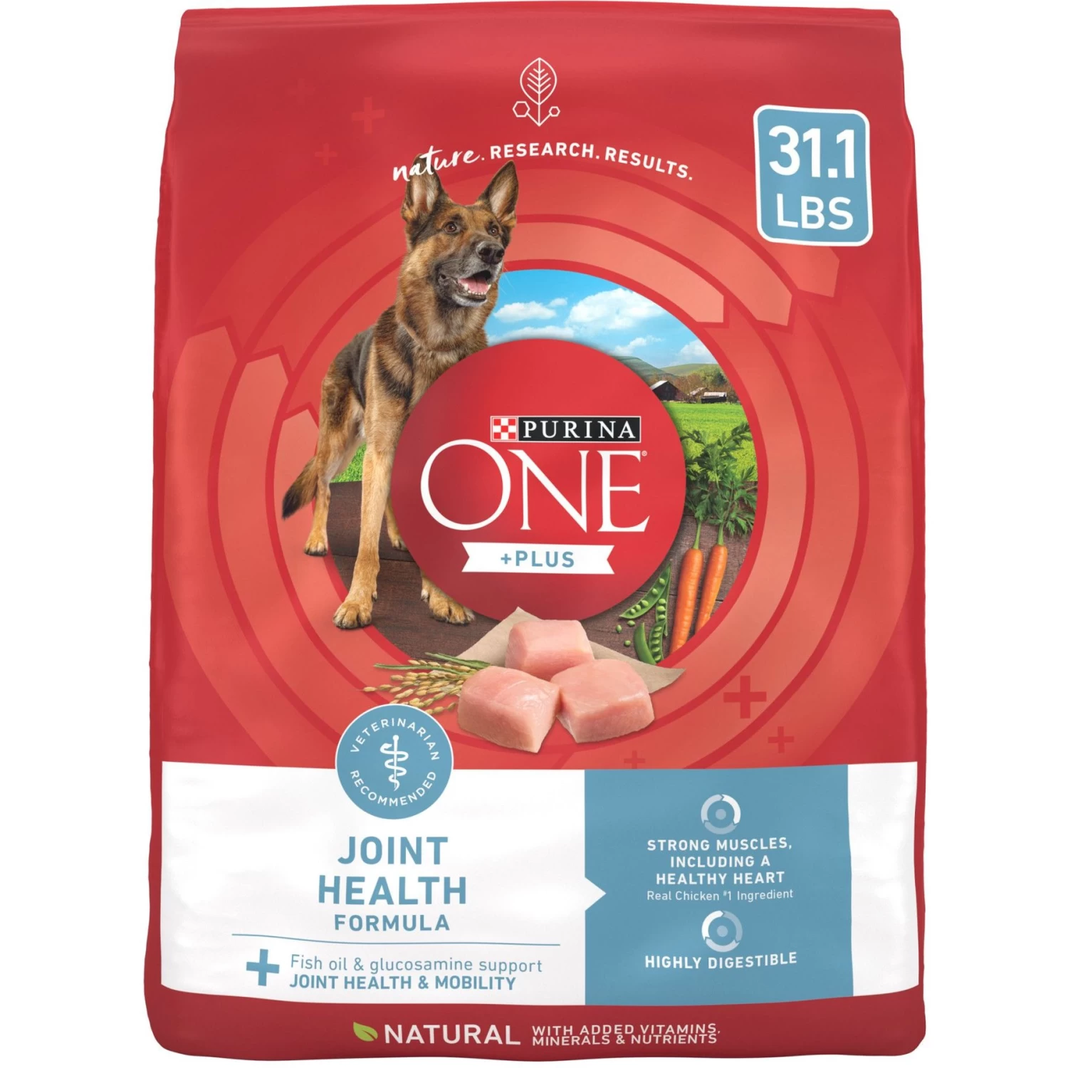 Purina ONE +Plus Adult Joint Health Formula Dry Dog Food