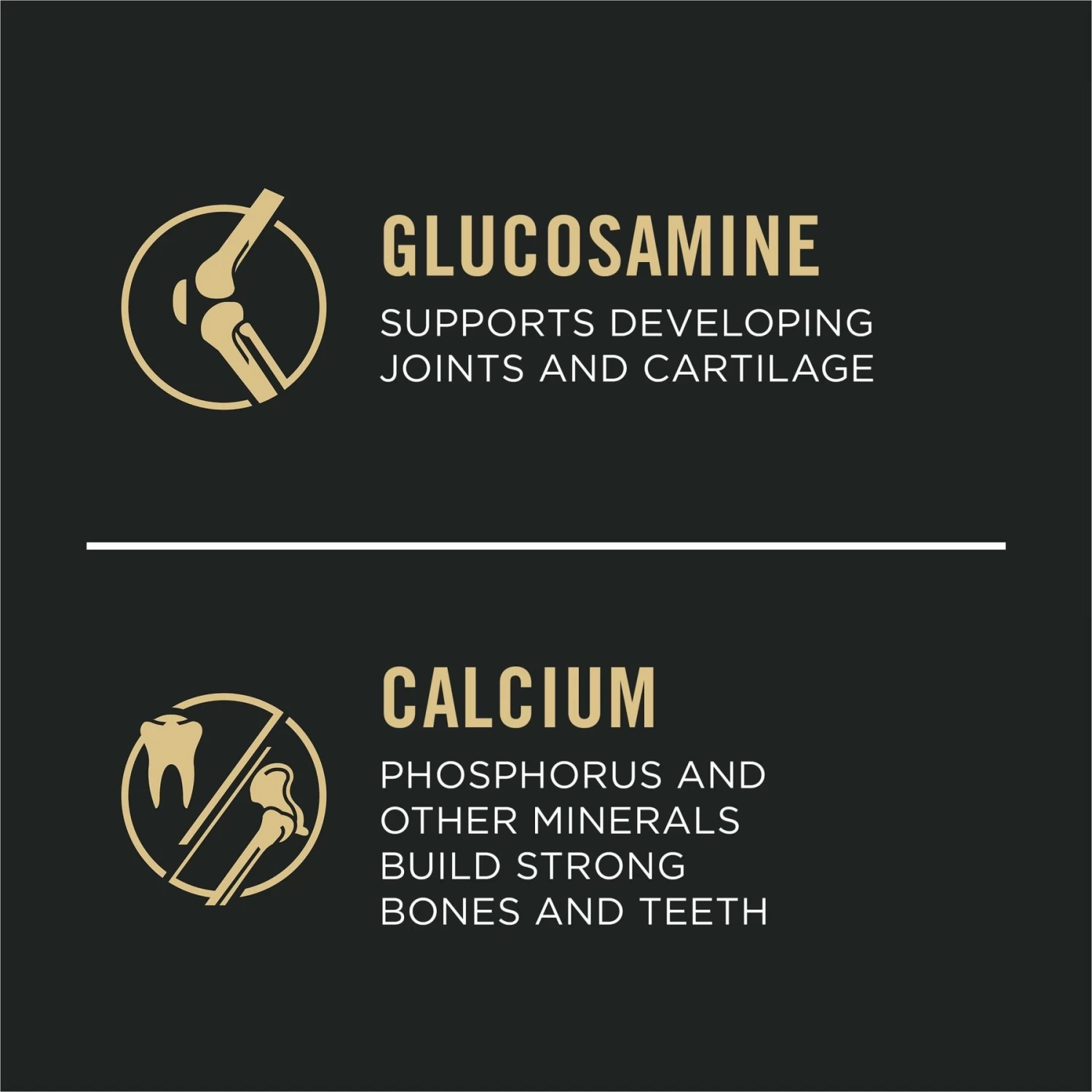 Purina Pro Plan Development Beef & Rice Formula High Protein Large Breed Dry Puppy Food - Image 5