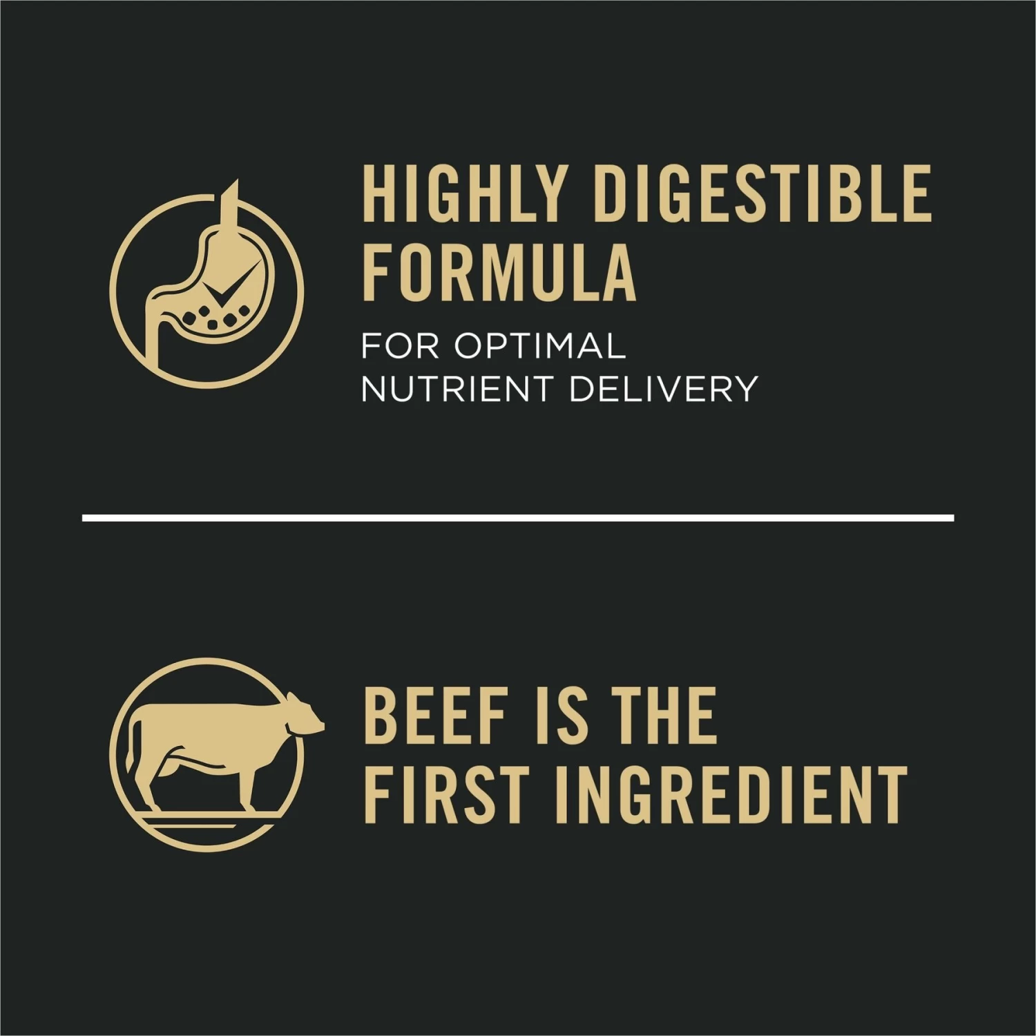 Purina Pro Plan Development Beef & Rice Formula High Protein Large Breed Dry Puppy Food - Image 8