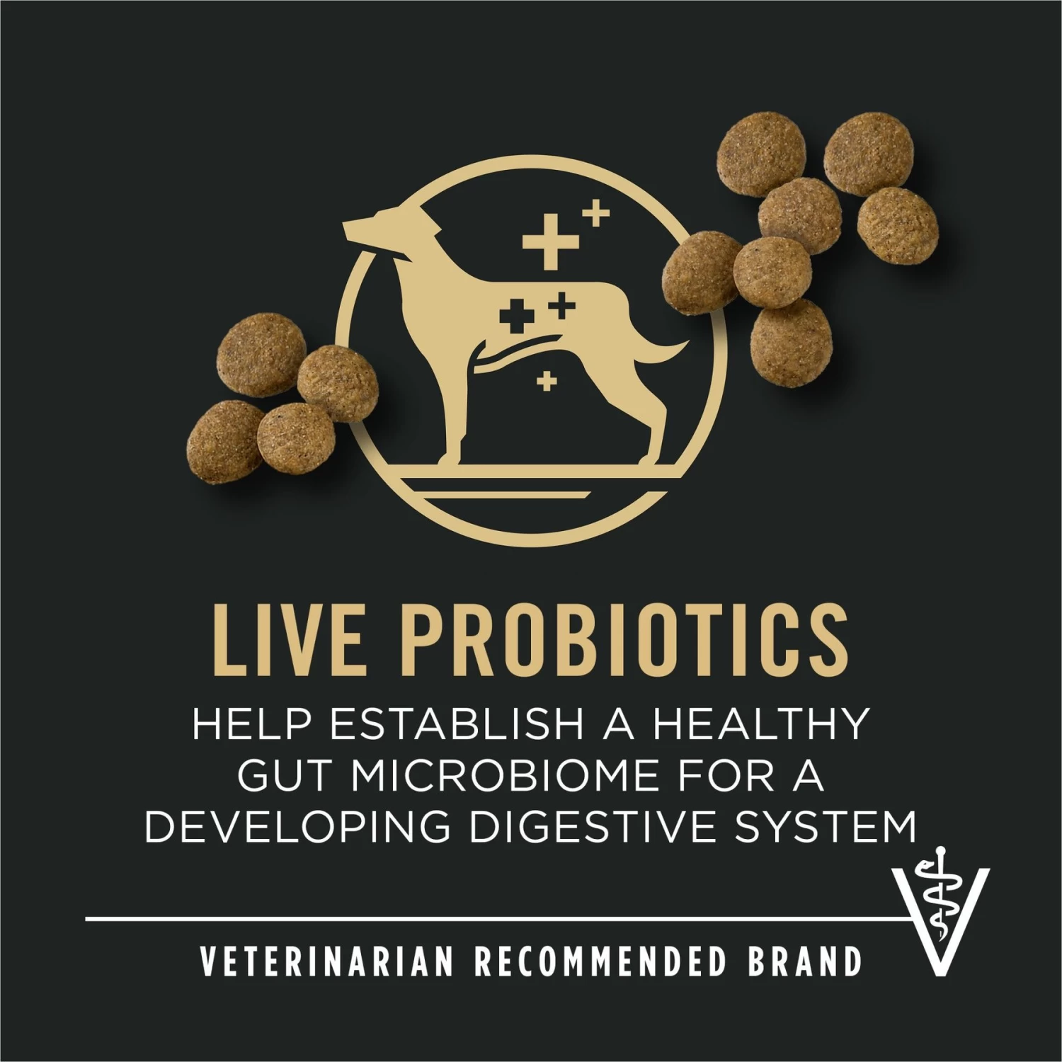 Purina Pro Plan Development Beef & Rice Formula High Protein Large Breed Dry Puppy Food - Image 9