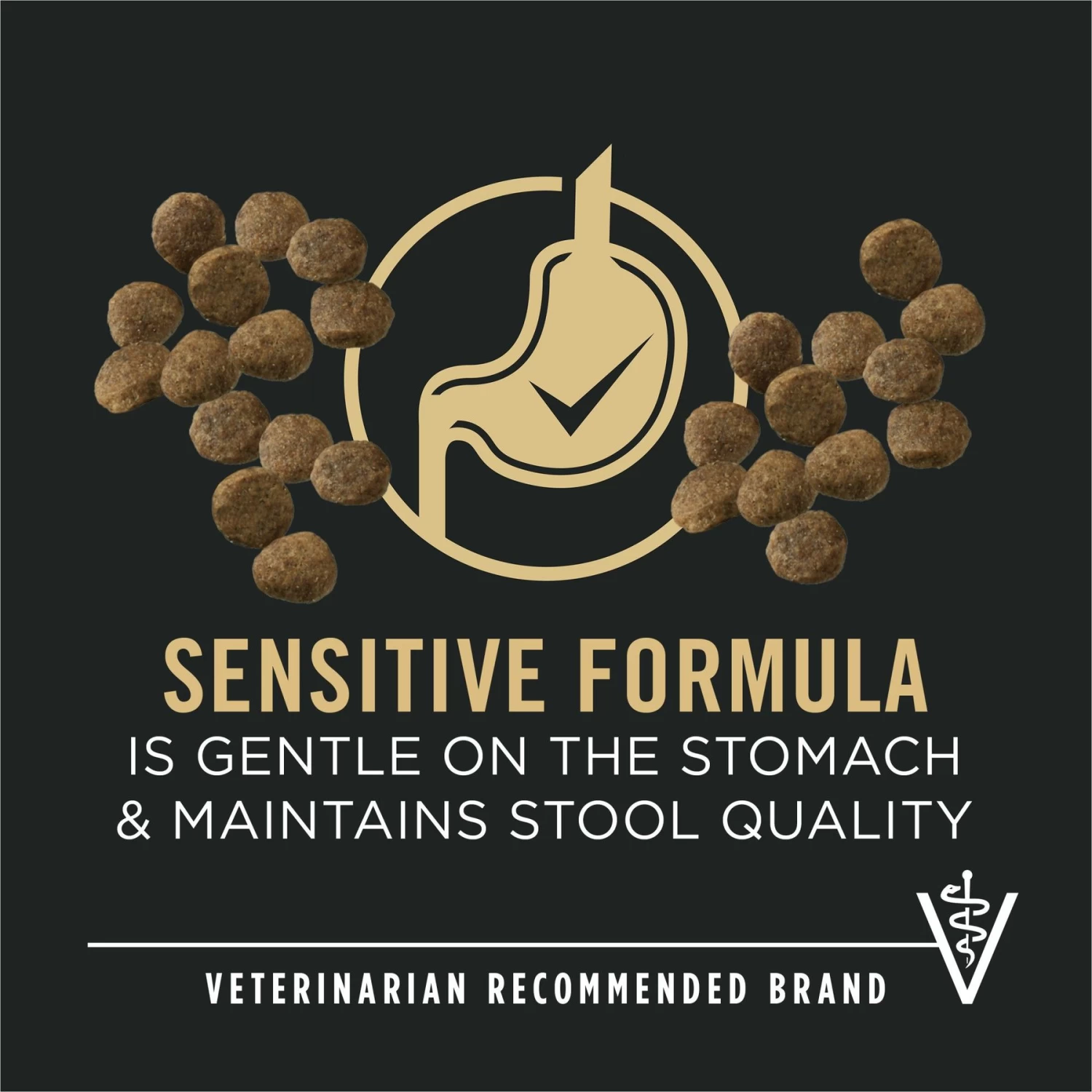 Purina Pro Plan Development Sensitive Skin & Stomach Salmon & Rice Large Breed Dry Puppy Food - Image 3