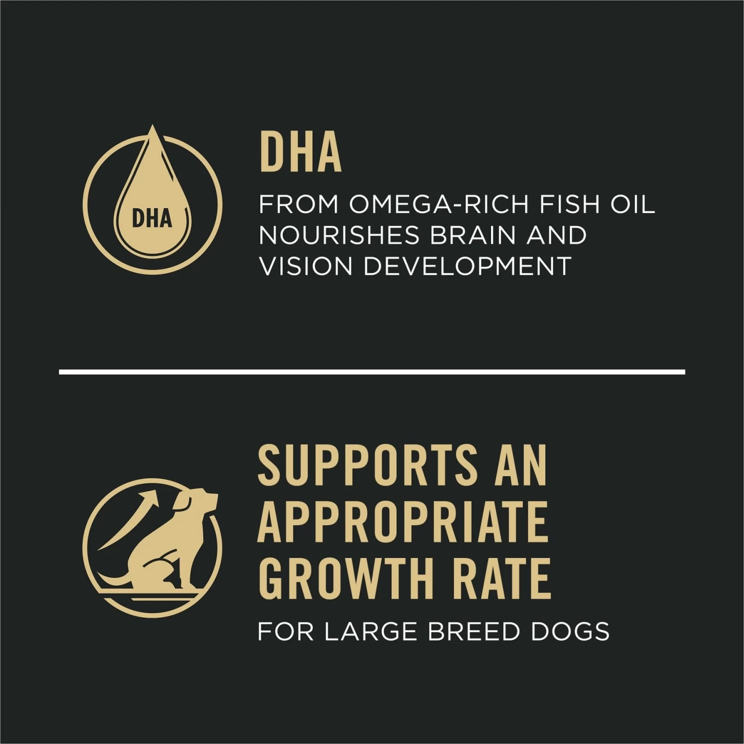 Purina Pro Plan Development Sensitive Skin & Stomach Salmon & Rice Large Breed Dry Puppy Food - Image 5