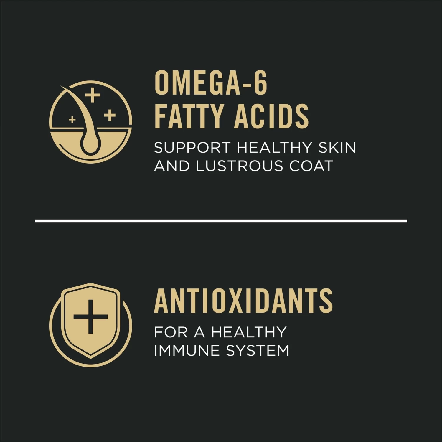 Purina Pro Plan Sensitive Skin & Stomach Adult With Probiotics Turkey & Oat Meal Formula High Protein Dry Dog Food - Image 5