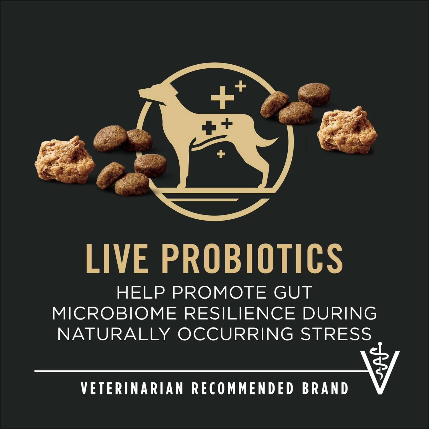 Purina Pro Plan Specialized Shredded Blend Lamb & Rice Formula High Protein Small Breed Dry Dog Food, 18-lb Bag - Image 9