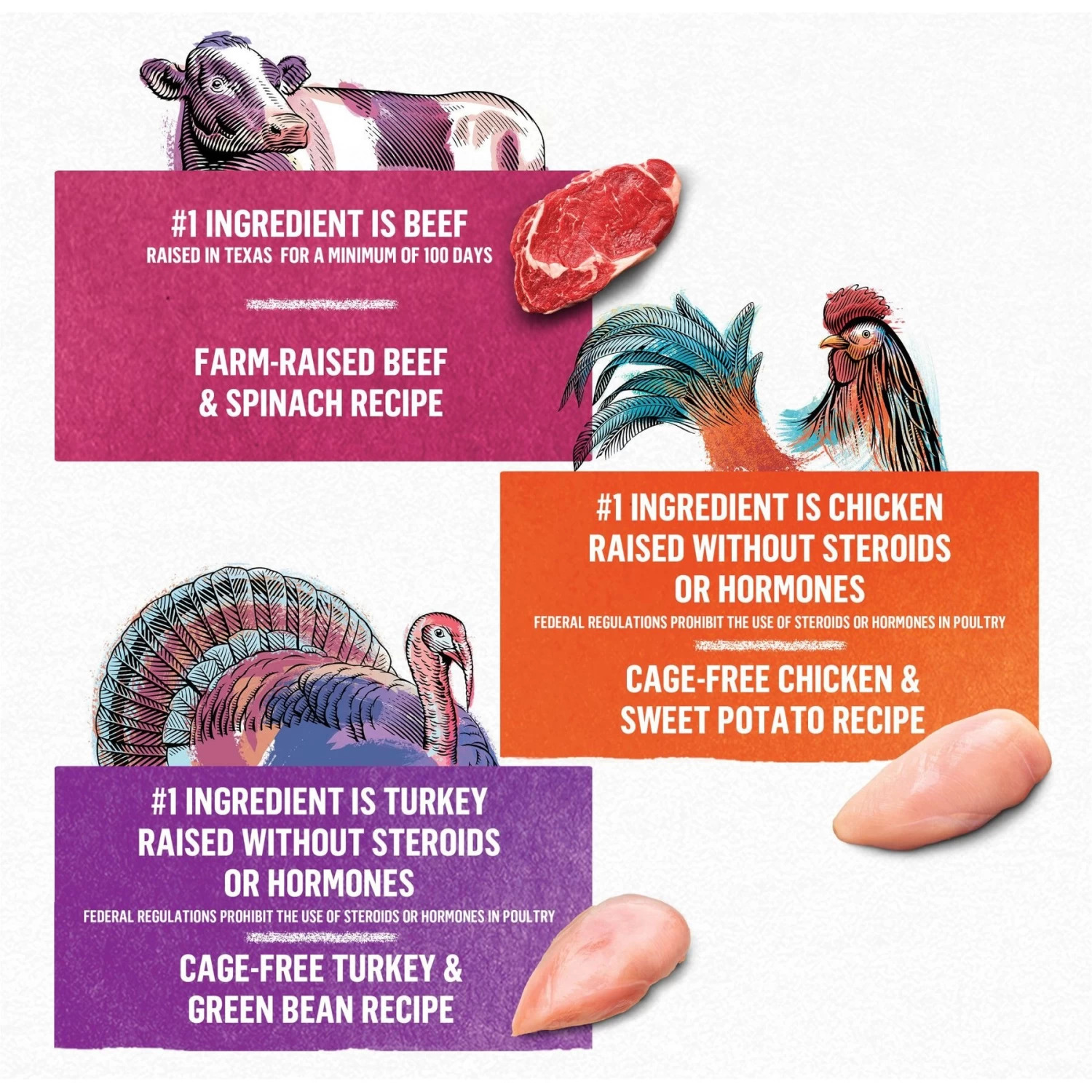 Purina Beyond Beef, Chicken & Turkey Recipes Variety Pack Grain-Free Wet Dog Food, 12.5-oz Can, Case Of 12 - Image 3