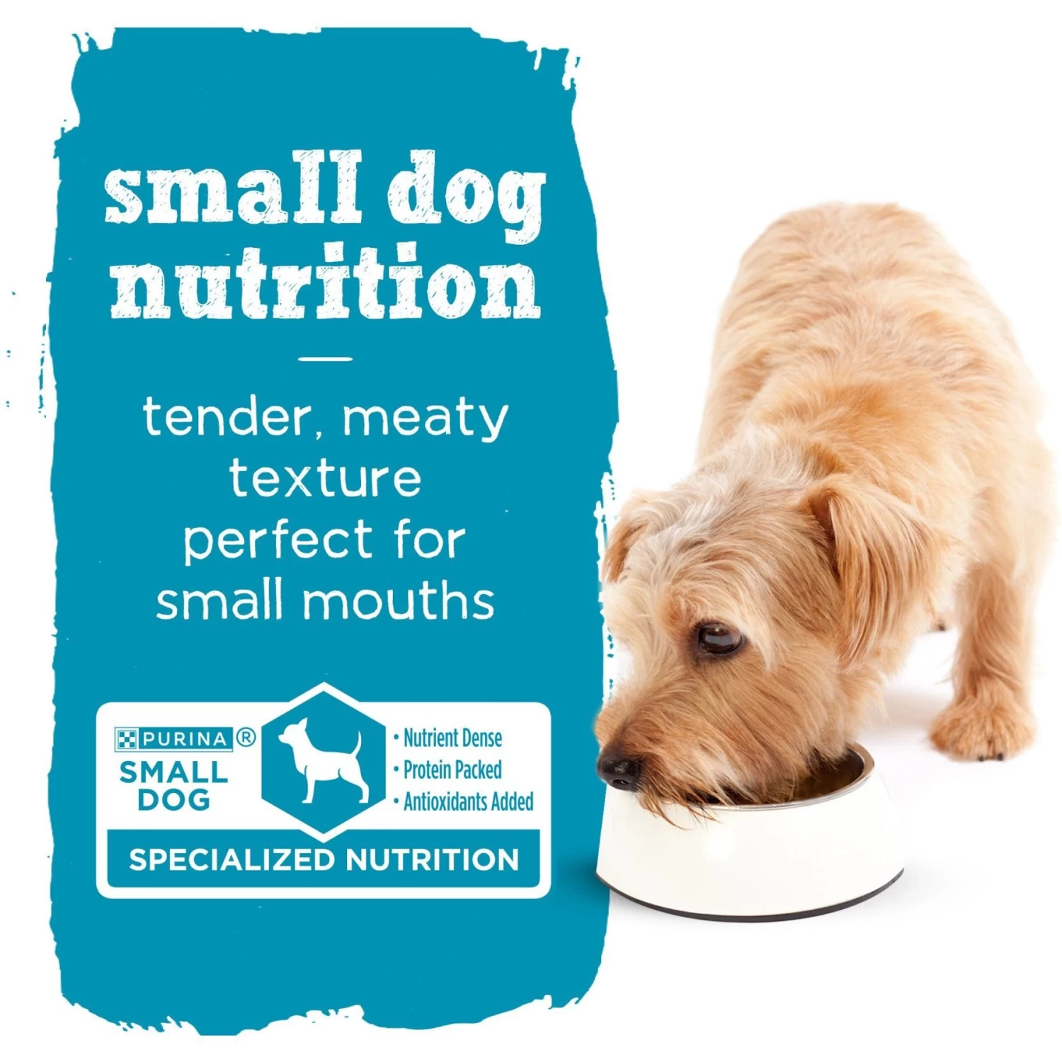 Purina Beneful IncrediBites Pate With Real Beef, Tomatoes, Carrots & Spinach Wet Dog Food, 3-oz Can, Case Of 24 - Image 8