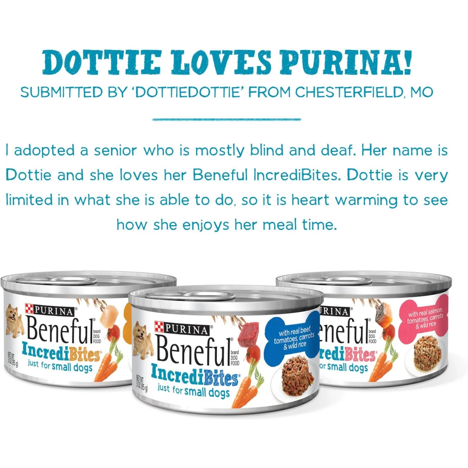 Purina Beneful IncrediBites Variety Pack Canned Dog Food - Image 6