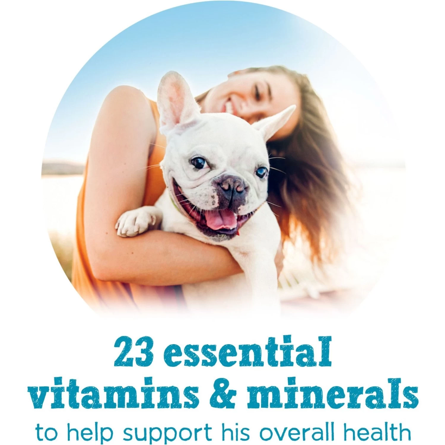 Purina Beneful IncrediBites Variety Pack Canned Dog Food - Image 7