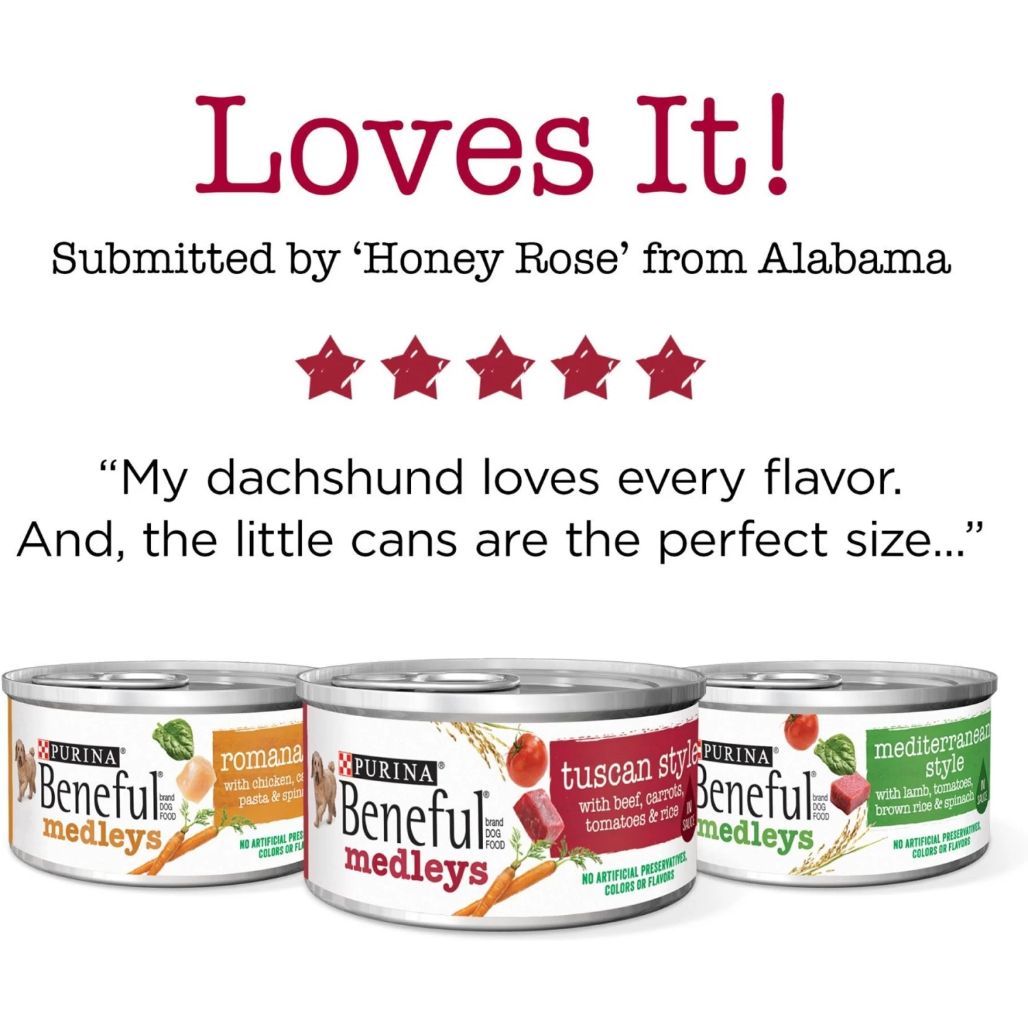 Purina Beneful Medleys Tuscan, Romana & Mediterranean Style Variety Pack Wet Dog Food - Image 7