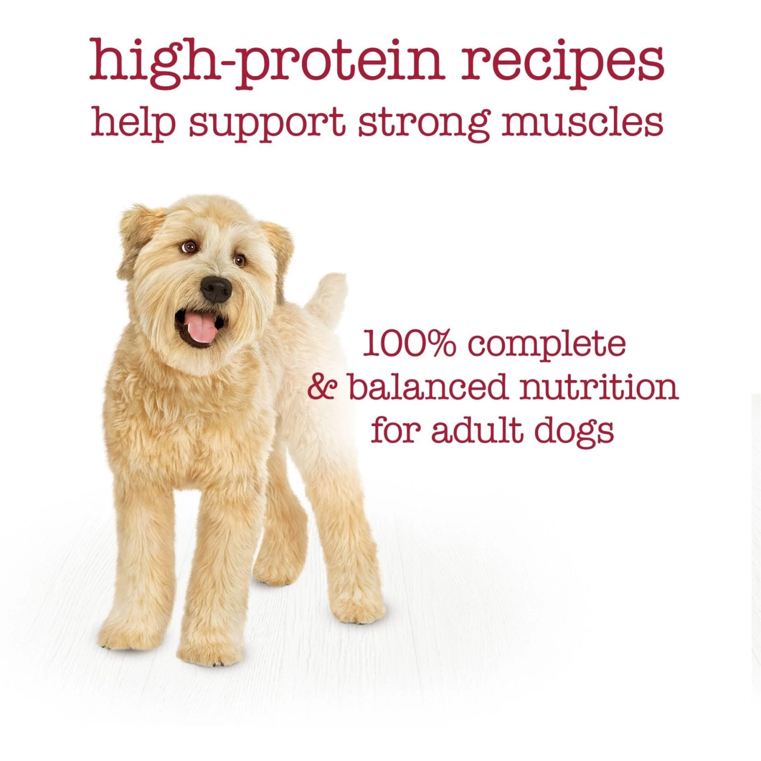 Purina Beneful Medleys Tuscan, Romana & Mediterranean Style Variety Pack Wet Dog Food - Image 8