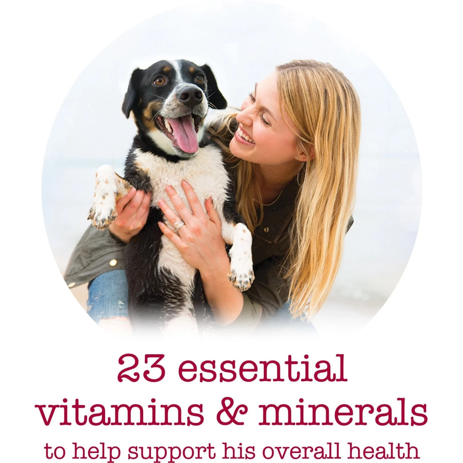 Purina Beneful Medleys Tuscan, Romana & Mediterranean Style Variety Pack Wet Dog Food - Image 9