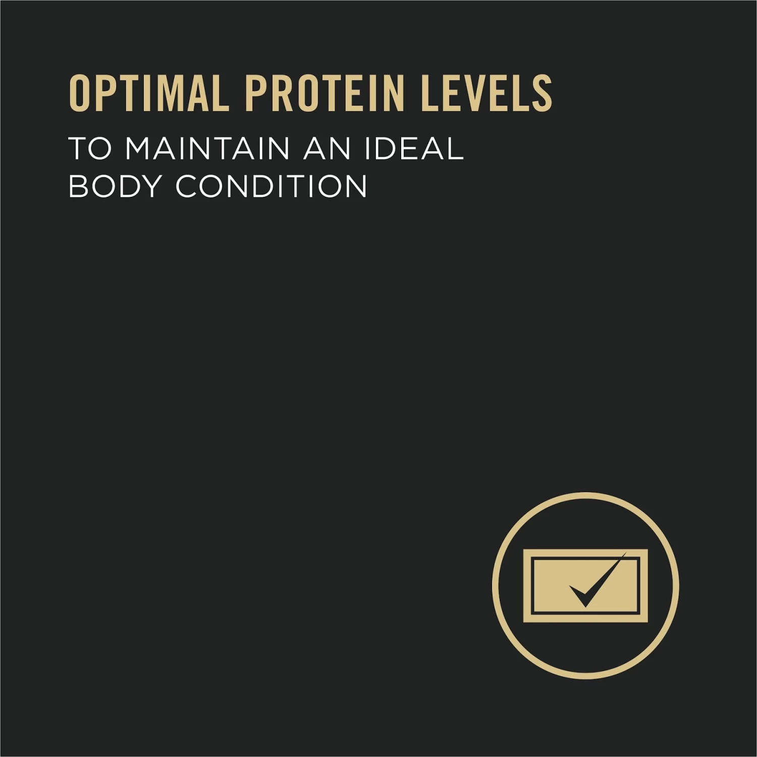 Purina Pro Plan Adult 7+ Complete Essentials Chicken & Rice Entree Wet Dog Food, 13-oz Can, Case Of 12 - Image 4