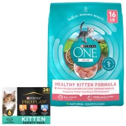 Purina ONE +Plus Healthy Kitten Formula Natural Dry Cat Food & Purina Pro Plan Focus Kitten Favorites Variety Pack Canned Cat Food
