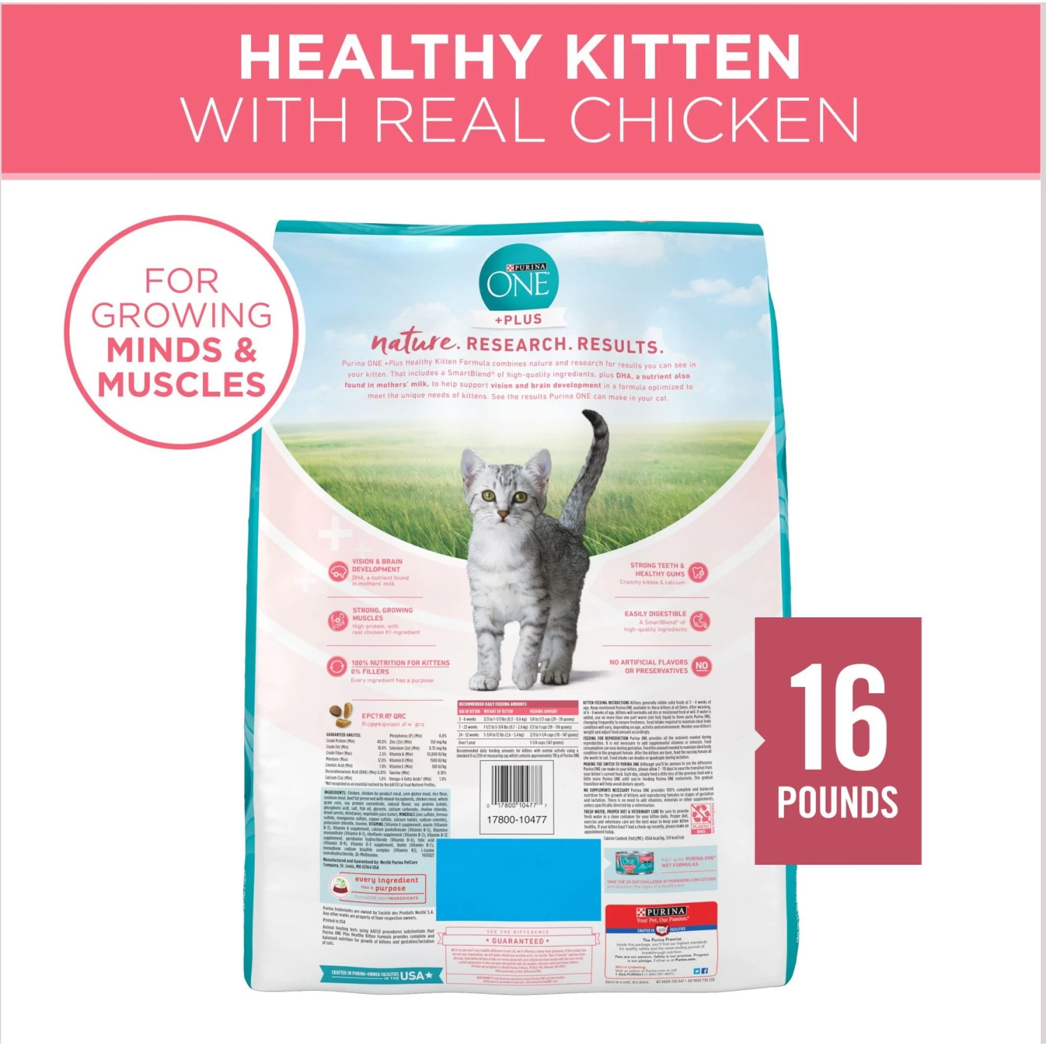 Purina ONE +Plus Healthy Kitten Formula Natural Dry Cat Food & Purina Pro Plan Focus Kitten Favorites Variety Pack Canned Cat Food - Image 3