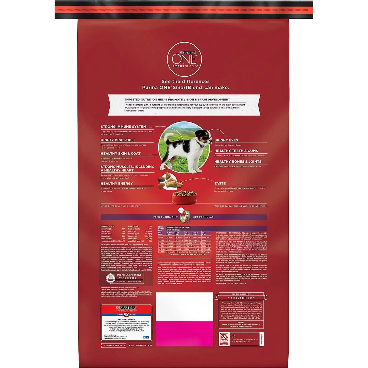 Purina ONE +Plus Natural High Protein Healthy Puppy Formula Dry Puppy Food & Wellness Soft Puppy Bites Lamb & Salmon Recipe Grain-Free Natural Dog Treats - Image 3