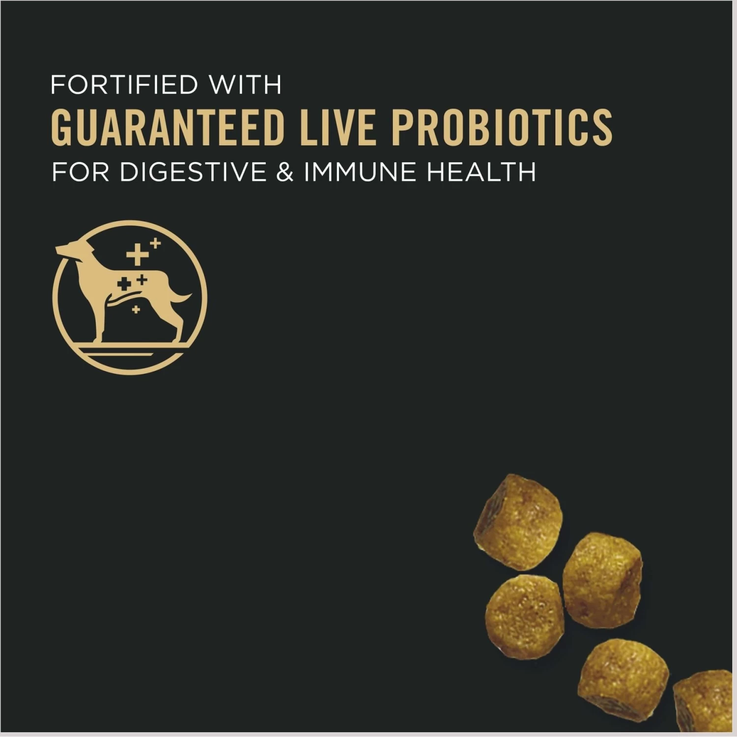 Purina Pro Plan Puppy Toy Breed Chicken & Rice Formula Dry Dog Food & Wellness Soft Puppy Bites Lamb & Salmon Recipe Grain-Free Natural Dog Treats - Image 5