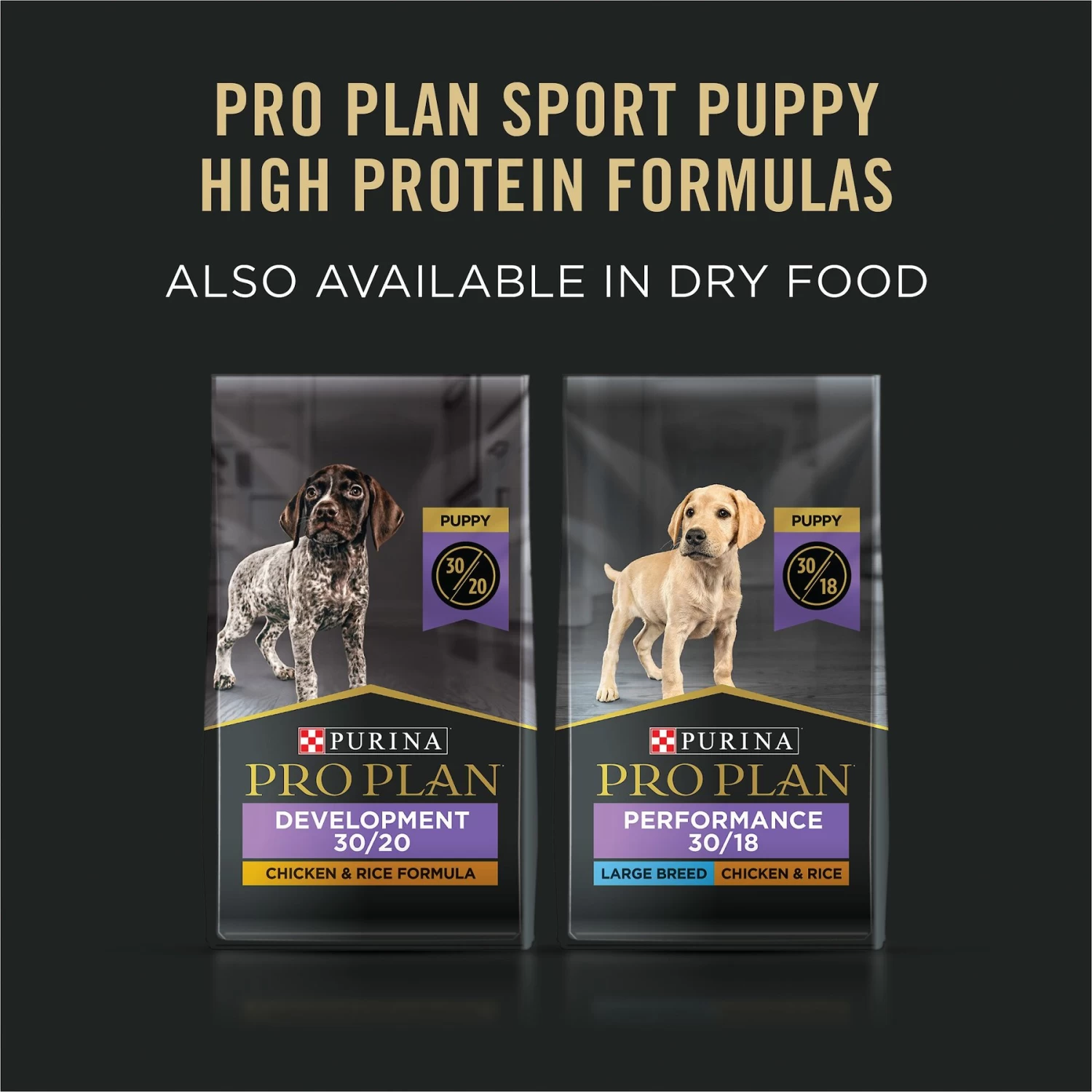 Purina Pro Plan Sport Puppy High Protein Chicken & Rice Wet Dog Food, 13-oz Can, Case Of 12 - Image 6
