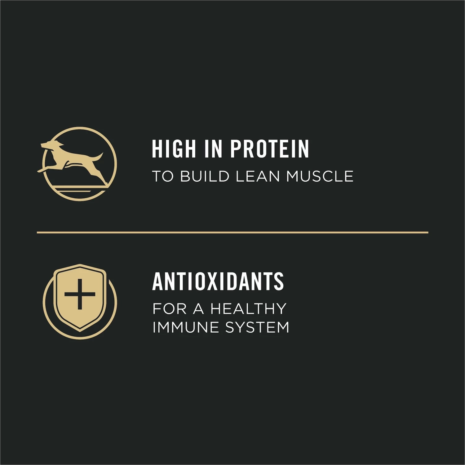 Purina Pro Plan Sport Development Puppy High Protein Beef & Rice Entrée & Chicken & Rice Entrée Variety Pack Wet Dog Food, 13-oz Can, Case Of 12 - Image 5