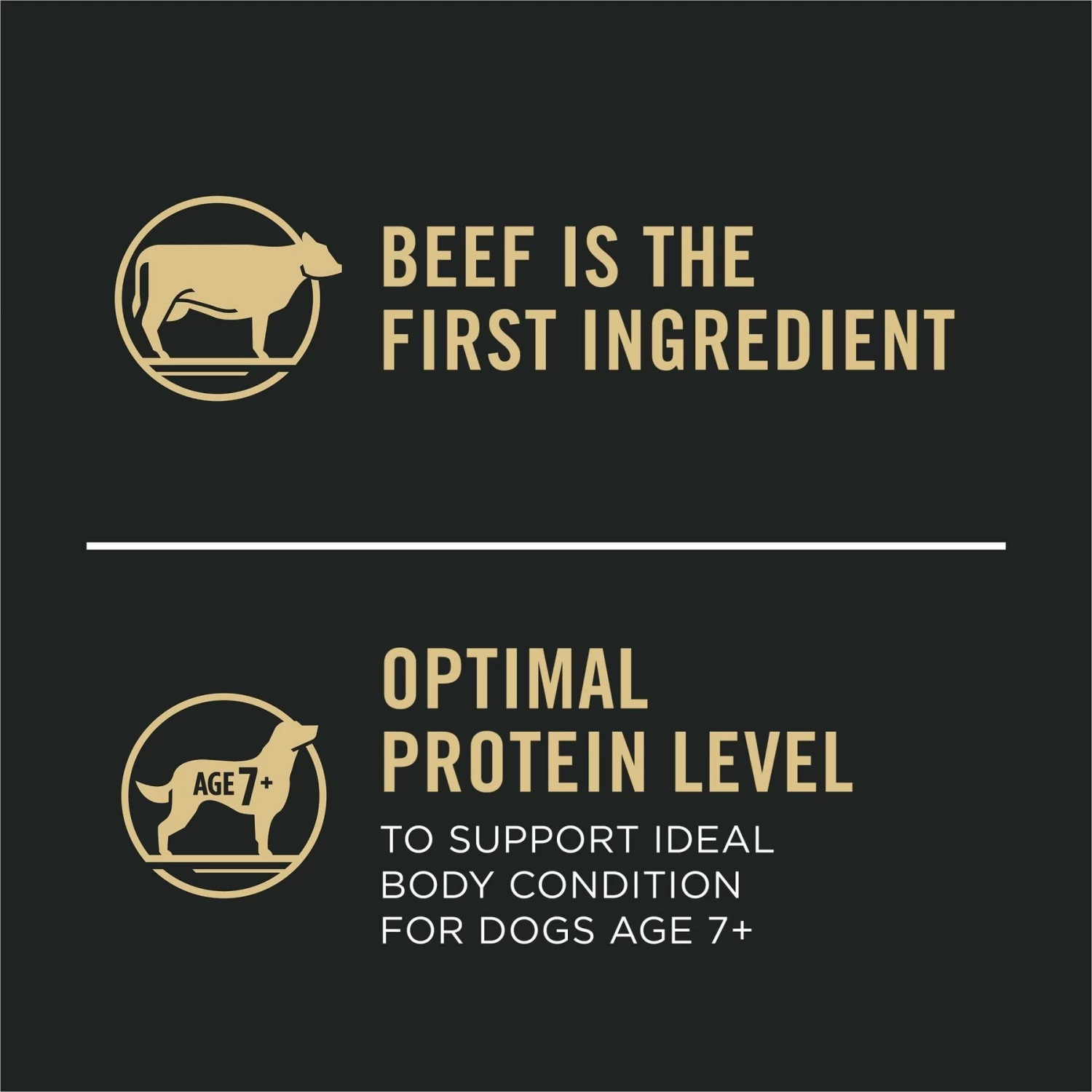 Purina Pro Plan 7+ Complete Essentials Shredded Blend Beef & Rice Formula High Protein Dog Food - Image 7