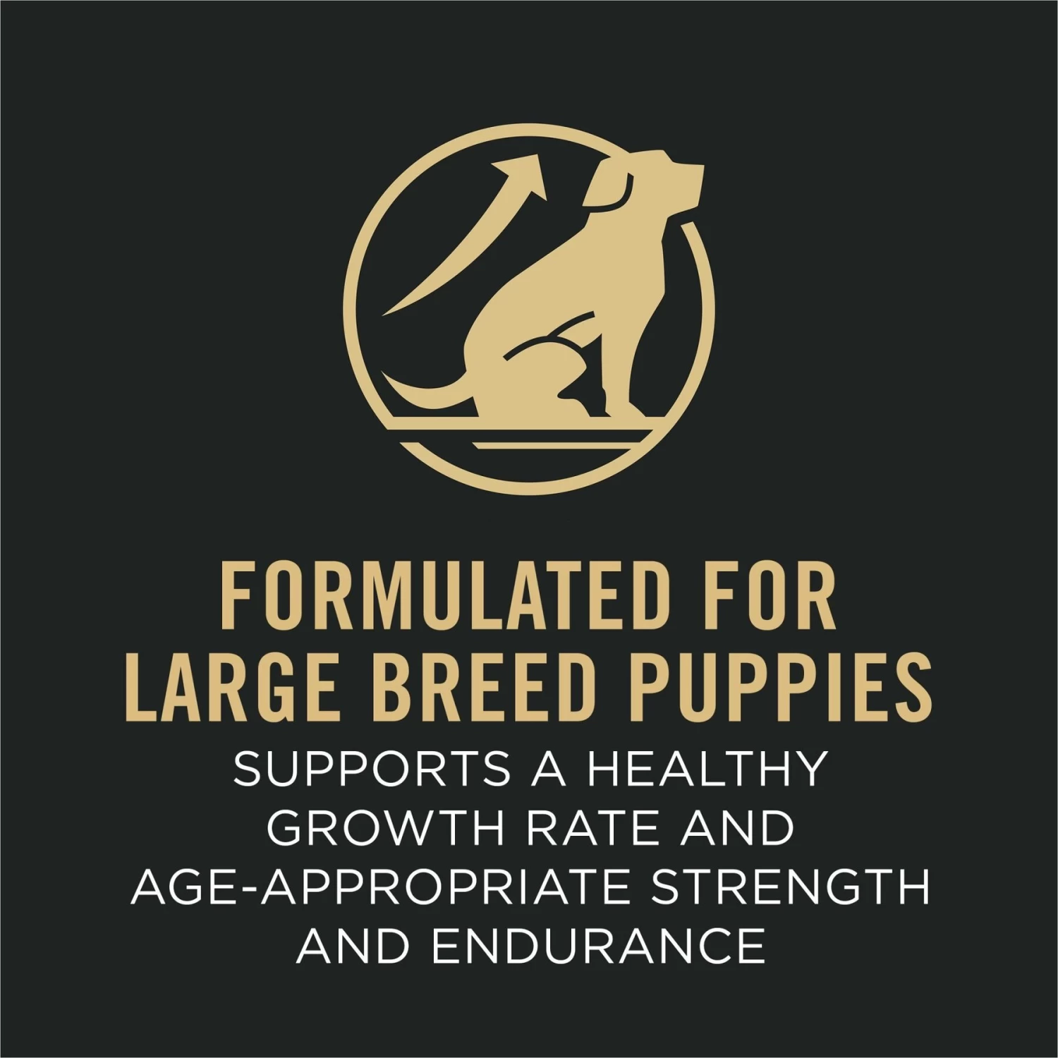 Purina Pro Plan Sport Development Large Breed High-Protein 30/18 Chicken & Rice Formula Puppy Food - Image 5