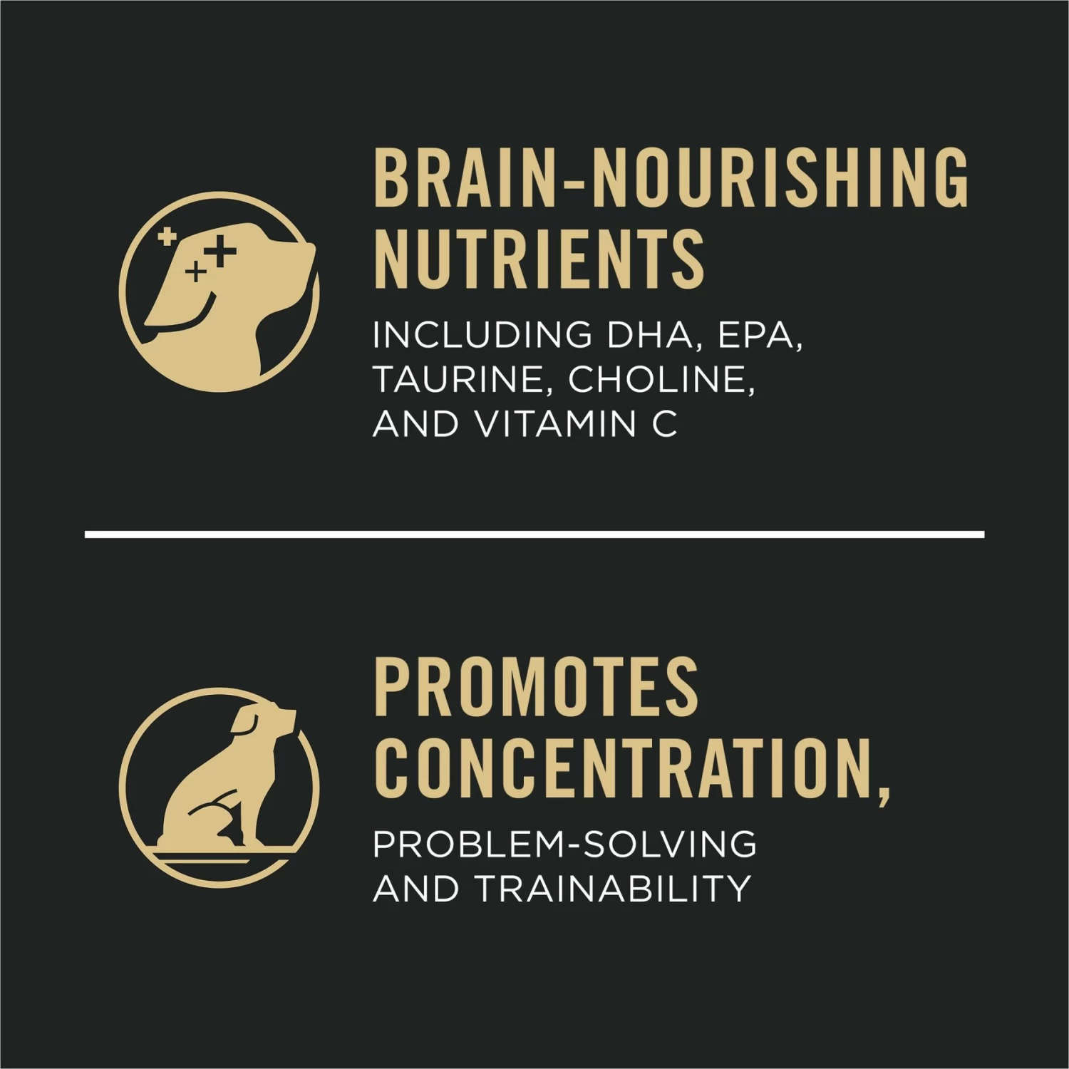 Purina Pro Plan Sport Development Large Breed High-Protein 30/18 Chicken & Rice Formula Puppy Food - Image 9