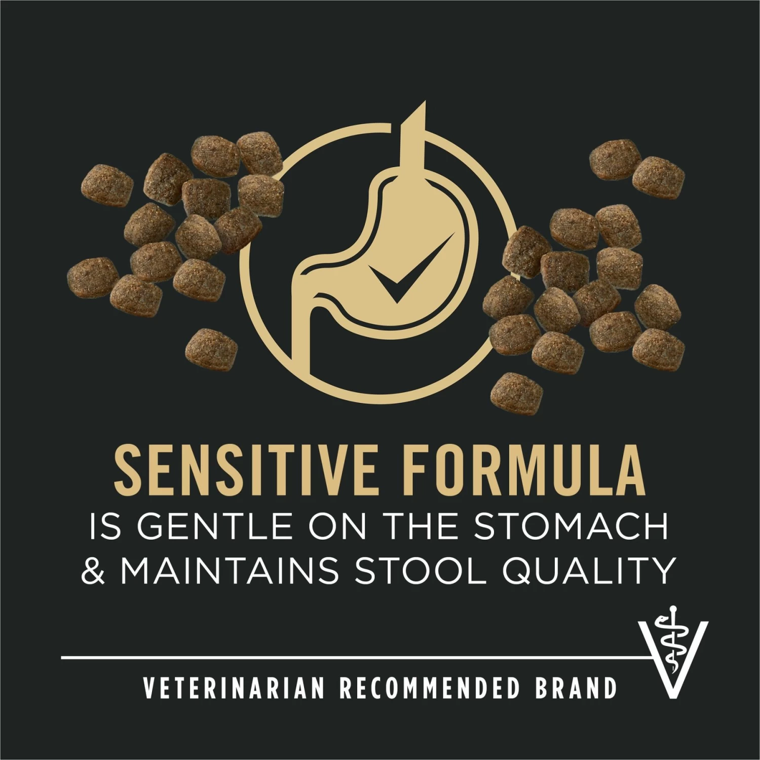 Purina Pro Plan Sensitive Skin & Stomach 7+ Salmon & Rice Formula Dry Dog Food - Image 3