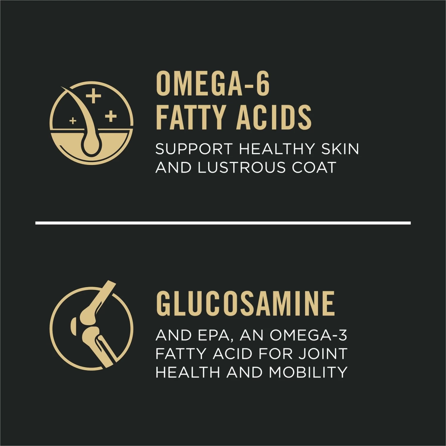 Purina Pro Plan Sensitive Skin & Stomach 7+ Salmon & Rice Formula Dry Dog Food - Image 5