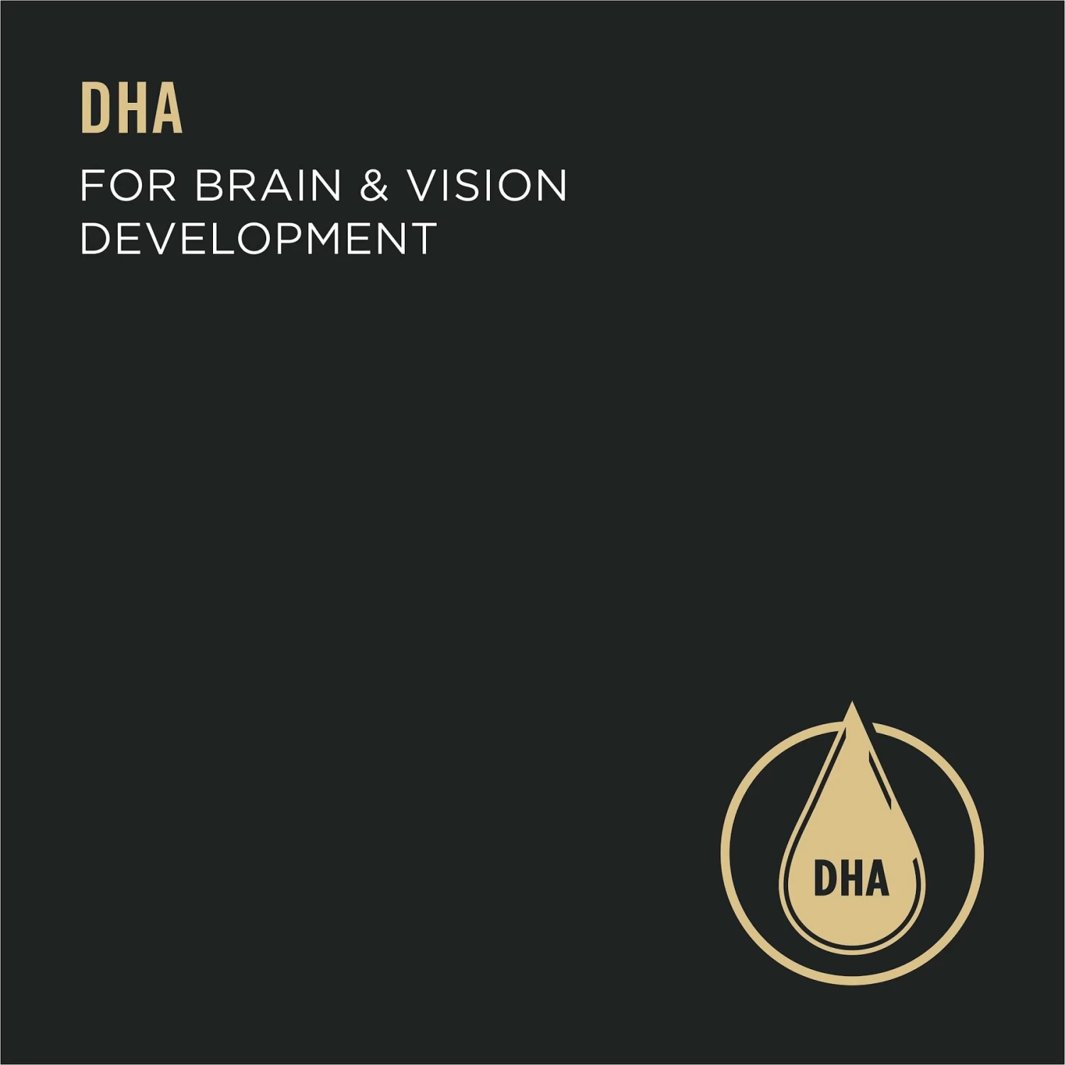 Purina Pro Plan Sport Development Puppy High Protein Beef & Rice Wet Dog Food, 13-oz Can, Case Of 12 - Image 3