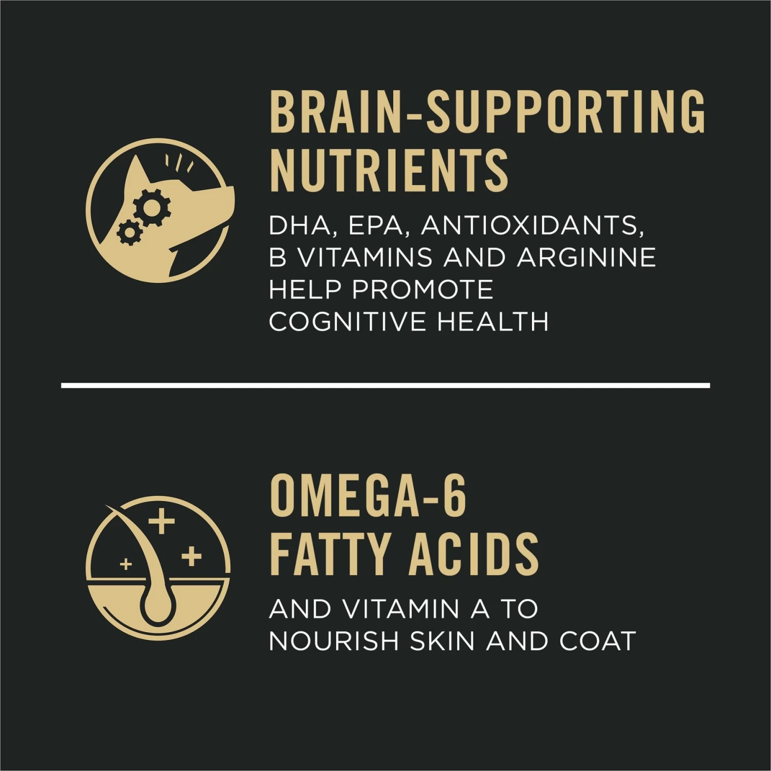 Purina Pro Plan Sport Performance Senior High-Protein 30/17 Chicken & Rice Formula Dog Food - Image 5