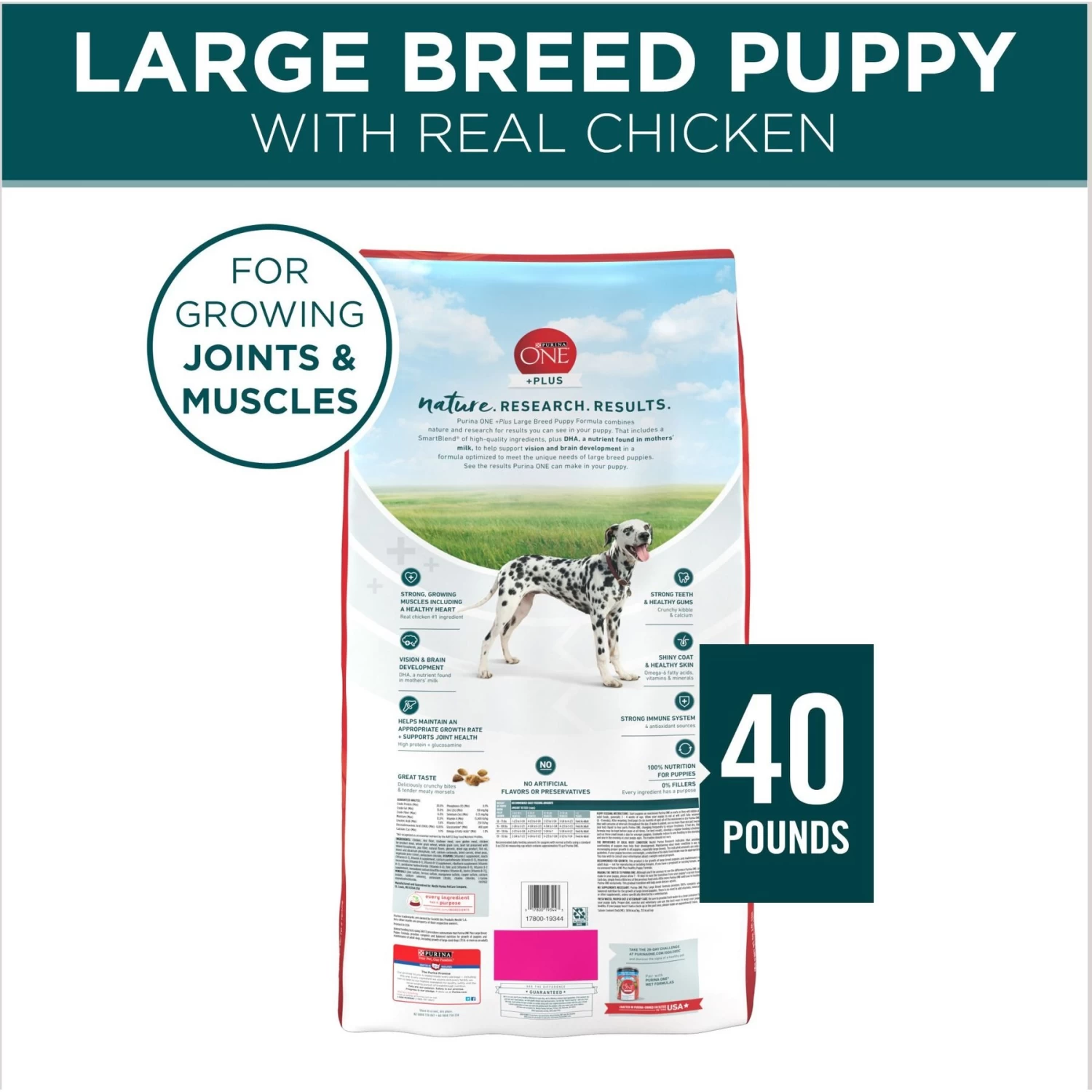 Purina ONE +Plus Natural Large Breed Formula Dry Puppy Food - Image 2