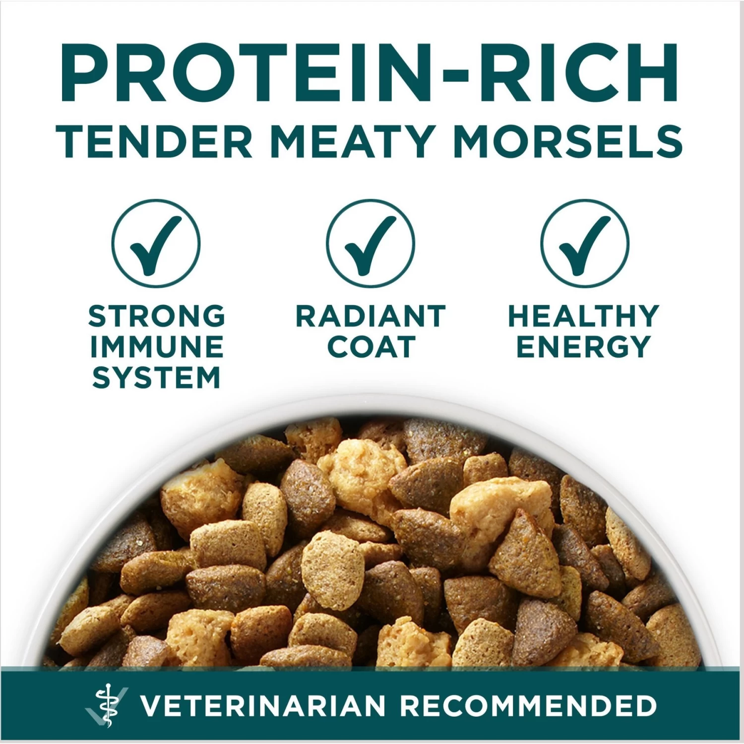 Purina ONE +Plus Natural Large Breed Formula Dry Puppy Food - Image 3