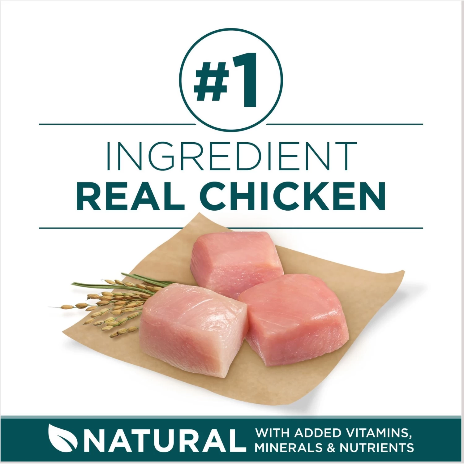 Purina ONE +Plus Natural Large Breed Formula Dry Puppy Food - Image 4