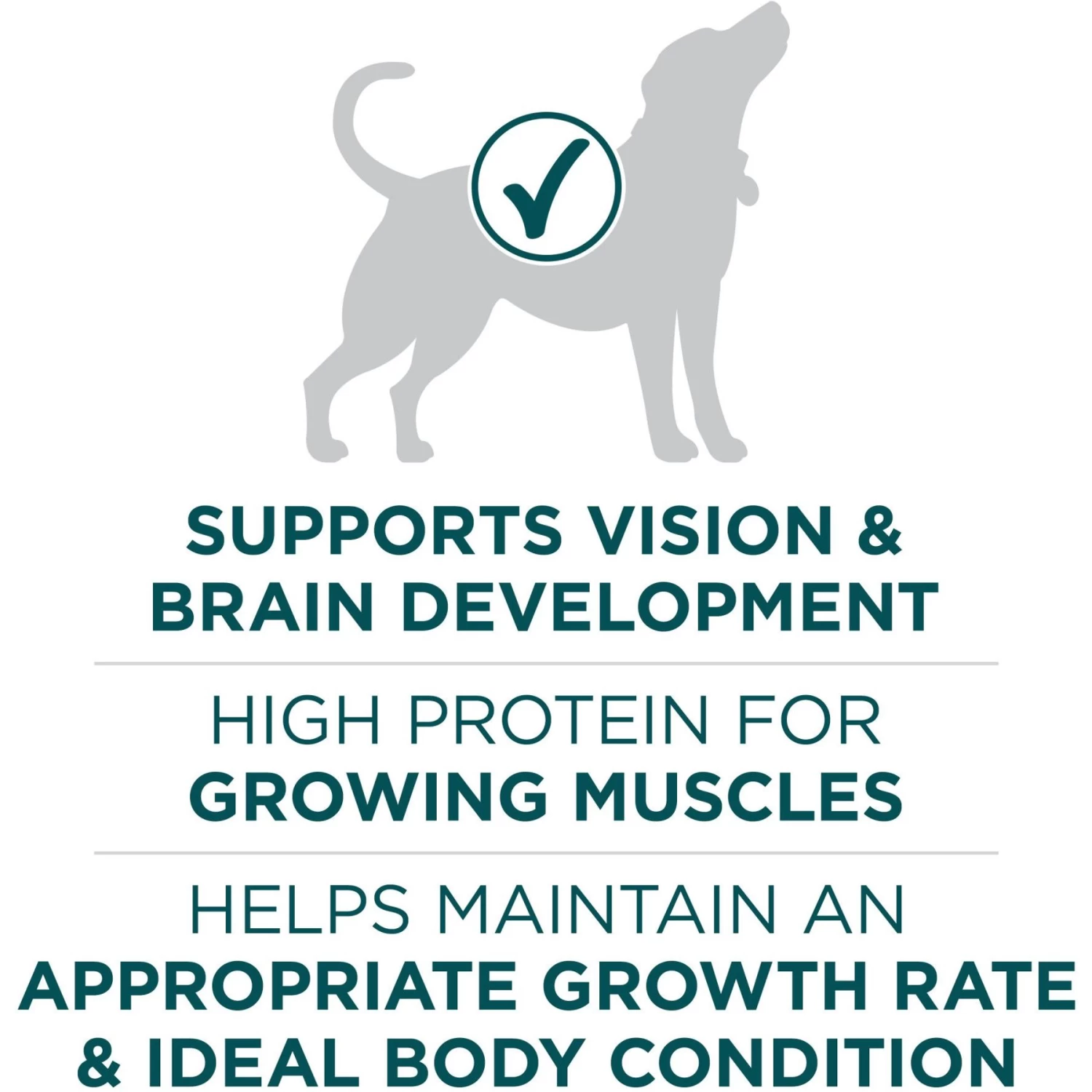 Purina ONE +Plus Natural Large Breed Formula Dry Puppy Food - Image 5