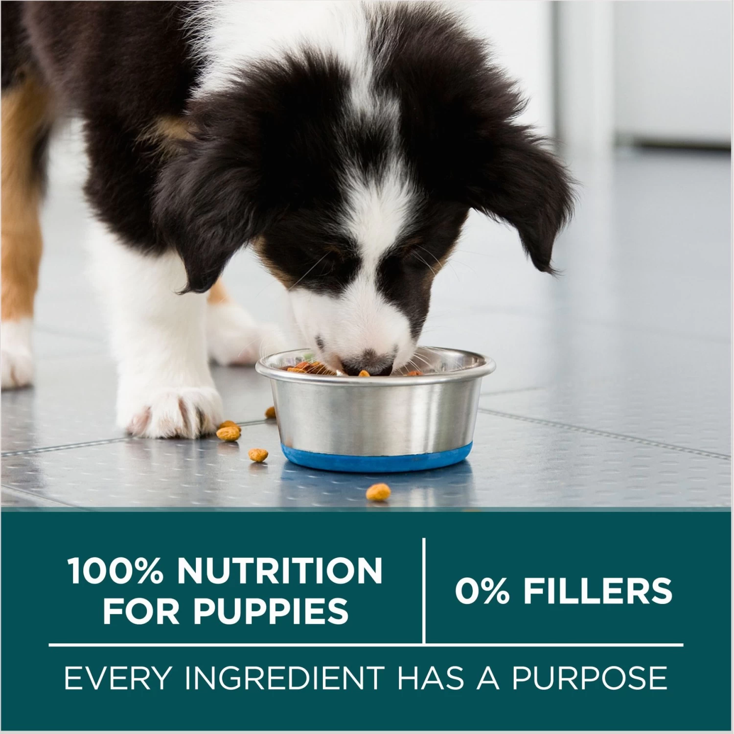 Purina ONE +Plus Natural Large Breed Formula Dry Puppy Food - Image 7