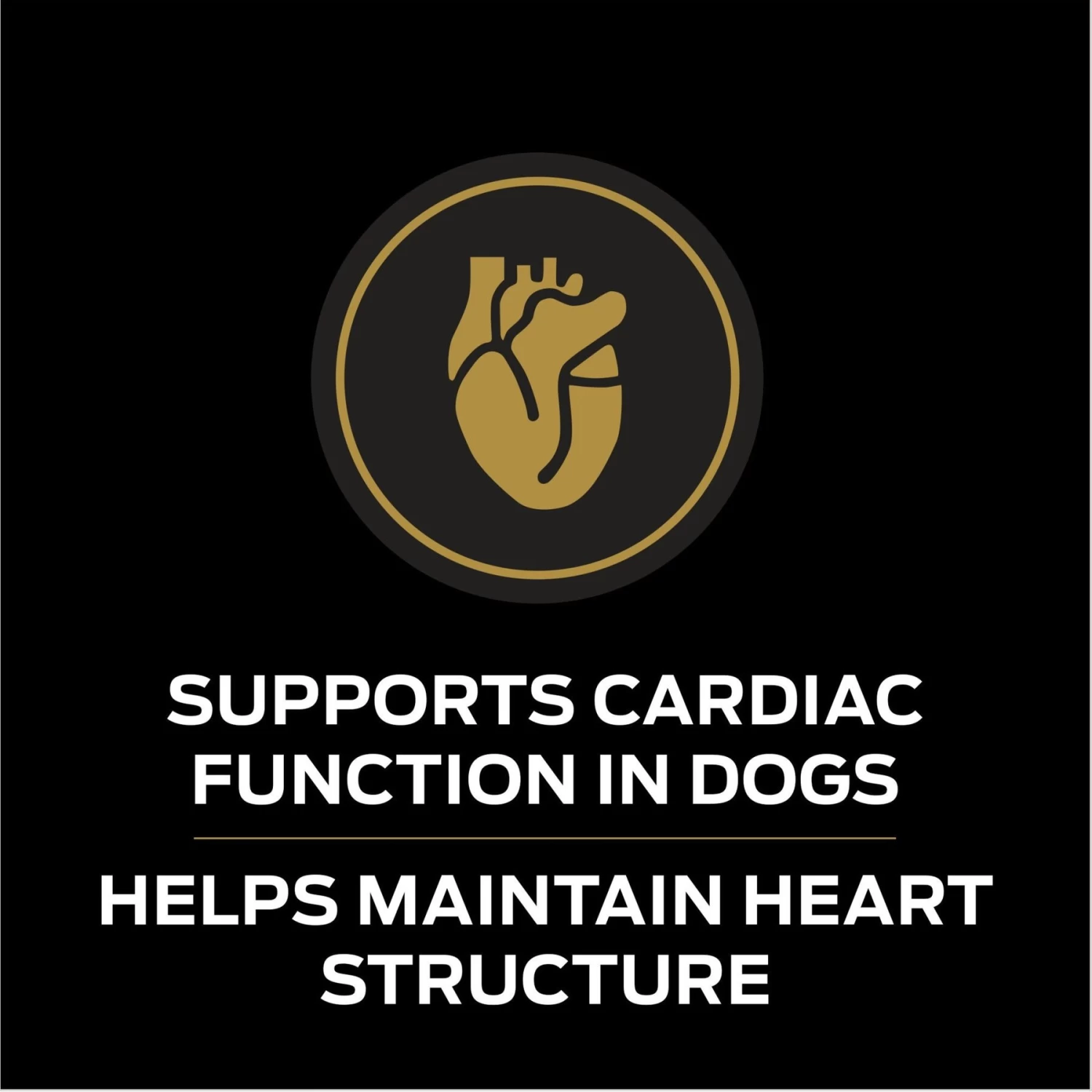 Purina Pro Plan Veterinary Diets CC CardioCare High Protein Chicken Flavor Dry Dog Food - Image 4