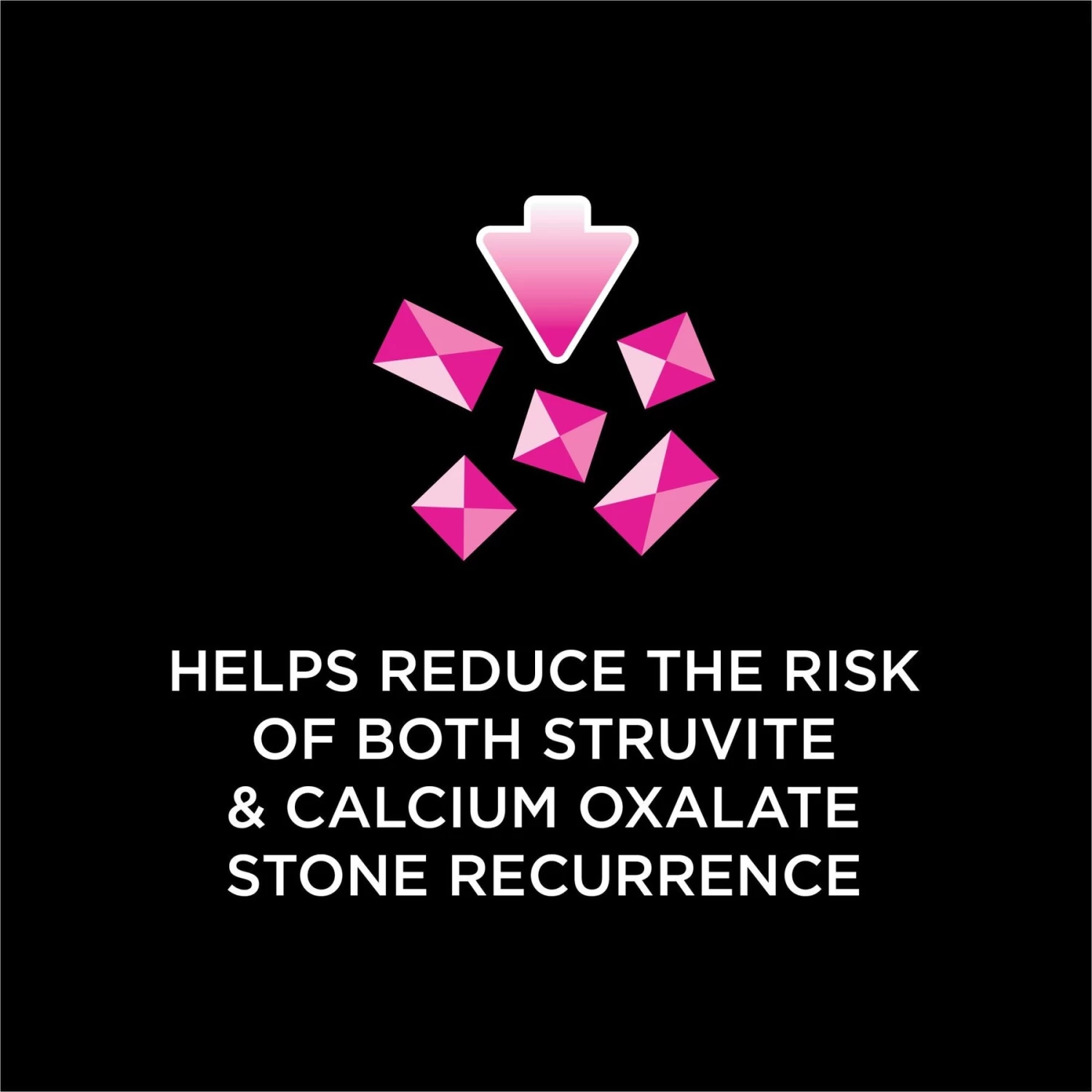 Purina Pro Plan Veterinary Diets UR St/Ox Urinary Dry Cat Food - Image 4