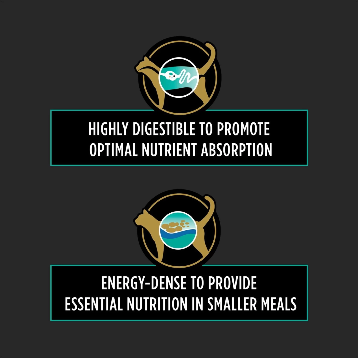 Purina Pro Plan Veterinary Diets EN Gastroenteric Wet Cat Food - Image 4