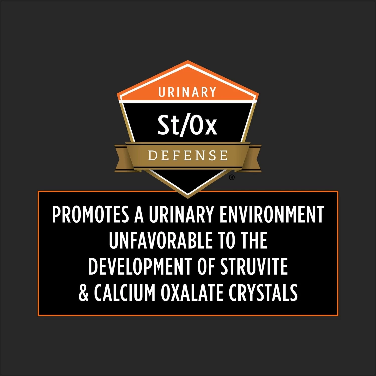 Purina Pro Plan Veterinary Diets OM Overweight Management Dry Cat Food - Image 8